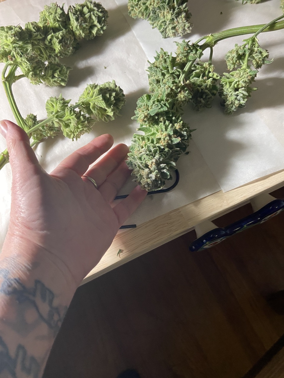 gor buds hand copy.jpg