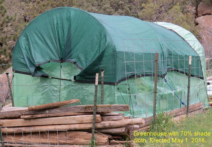 Greenhouse 876.JPG