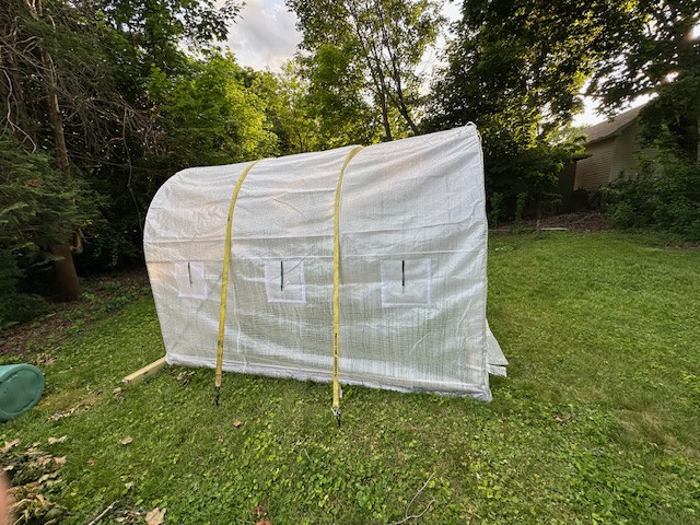 Greenhouse.jpg