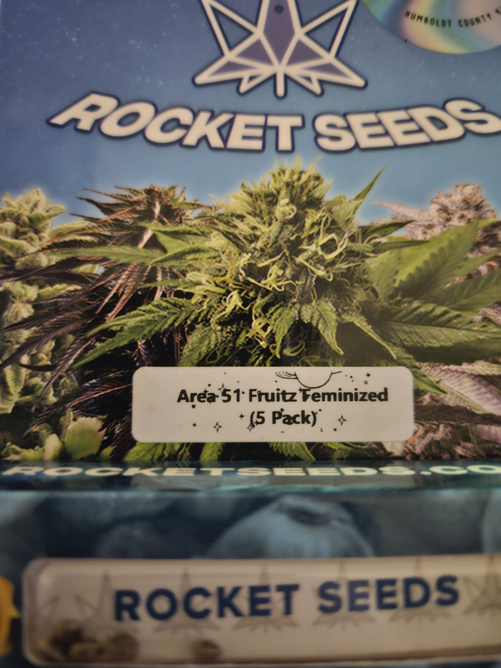 Grow 17.jpg