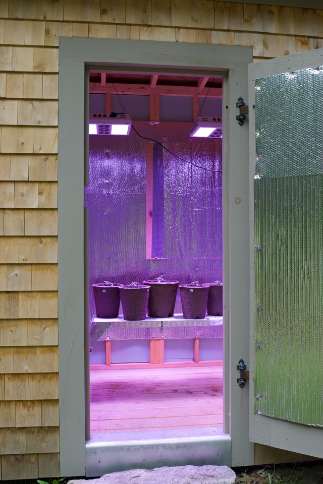 Grow-Room.jpg