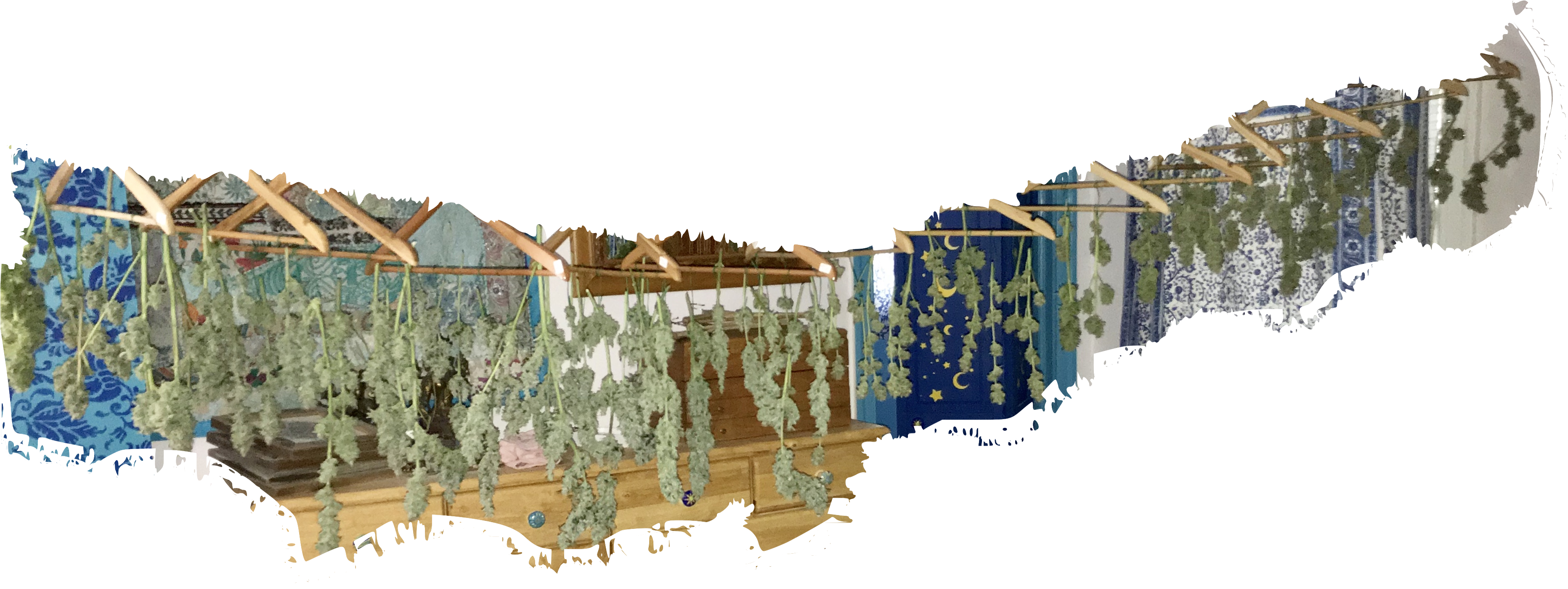 Click image for larger version  Name:	harvest jul23.png Views:	1 Size:	3.62 MB ID:	324604
