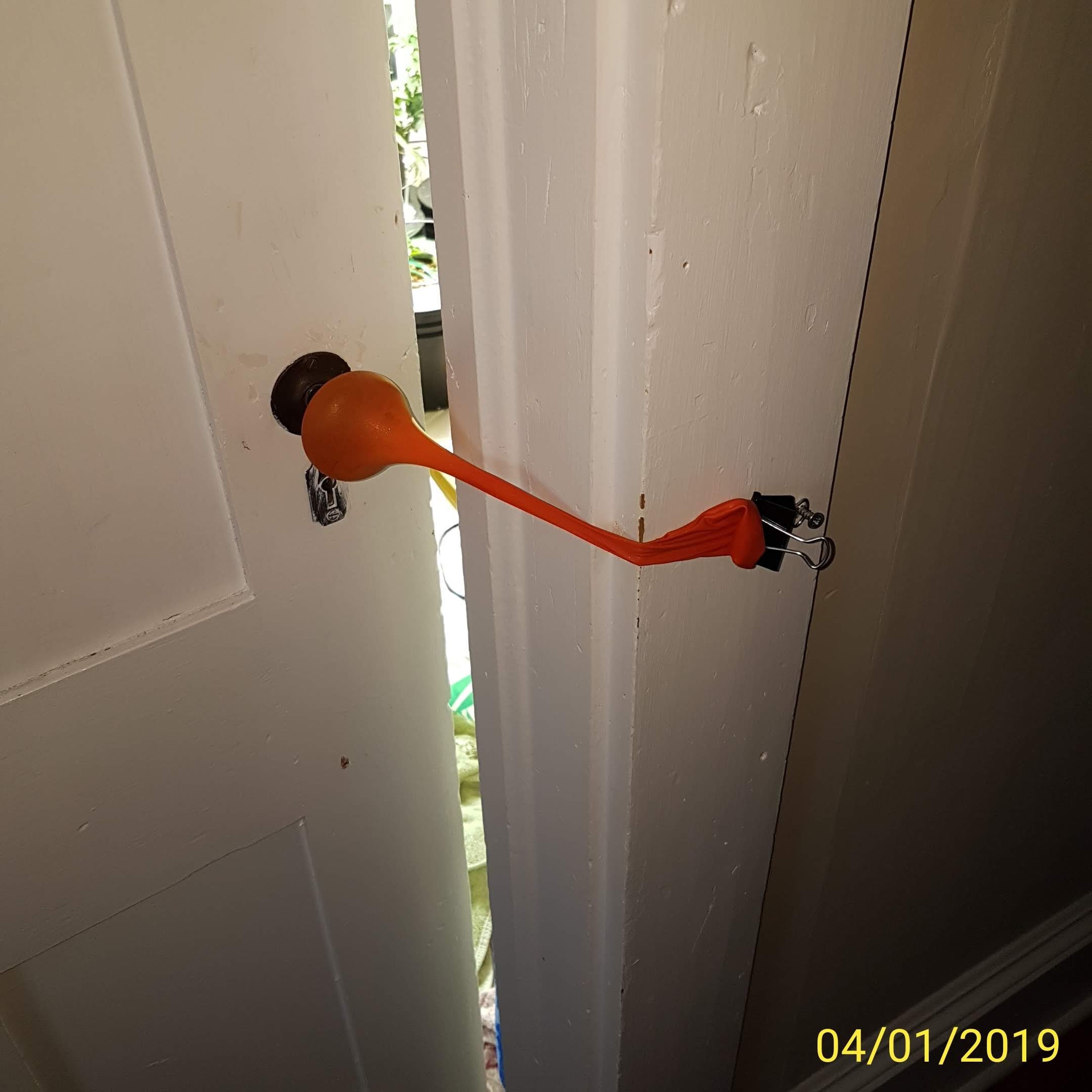 highest.jpg