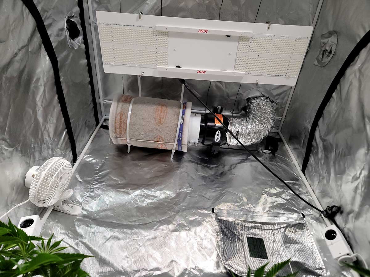 Click image for larger version  Name:	hlg-350-led-grow-light--with-carbon-filter-fan-growweedeasy-com-cannabis-grow-journal.jpg Views:	0 Size:	255.4 KB ID:	664042