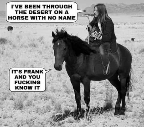 HorsewNoName.png