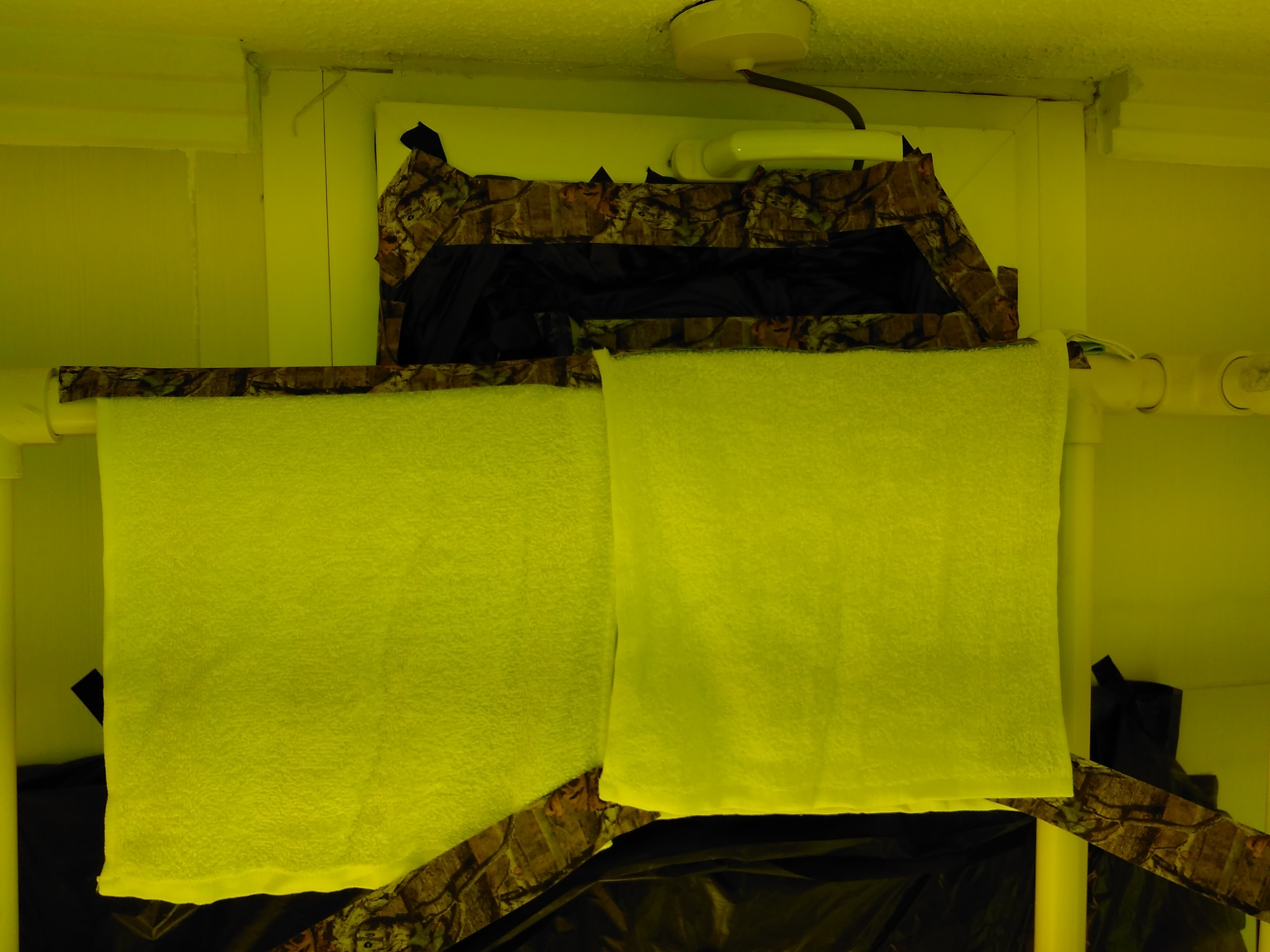 image_12379.jpg