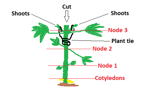 image_2020-10-06_110732.png