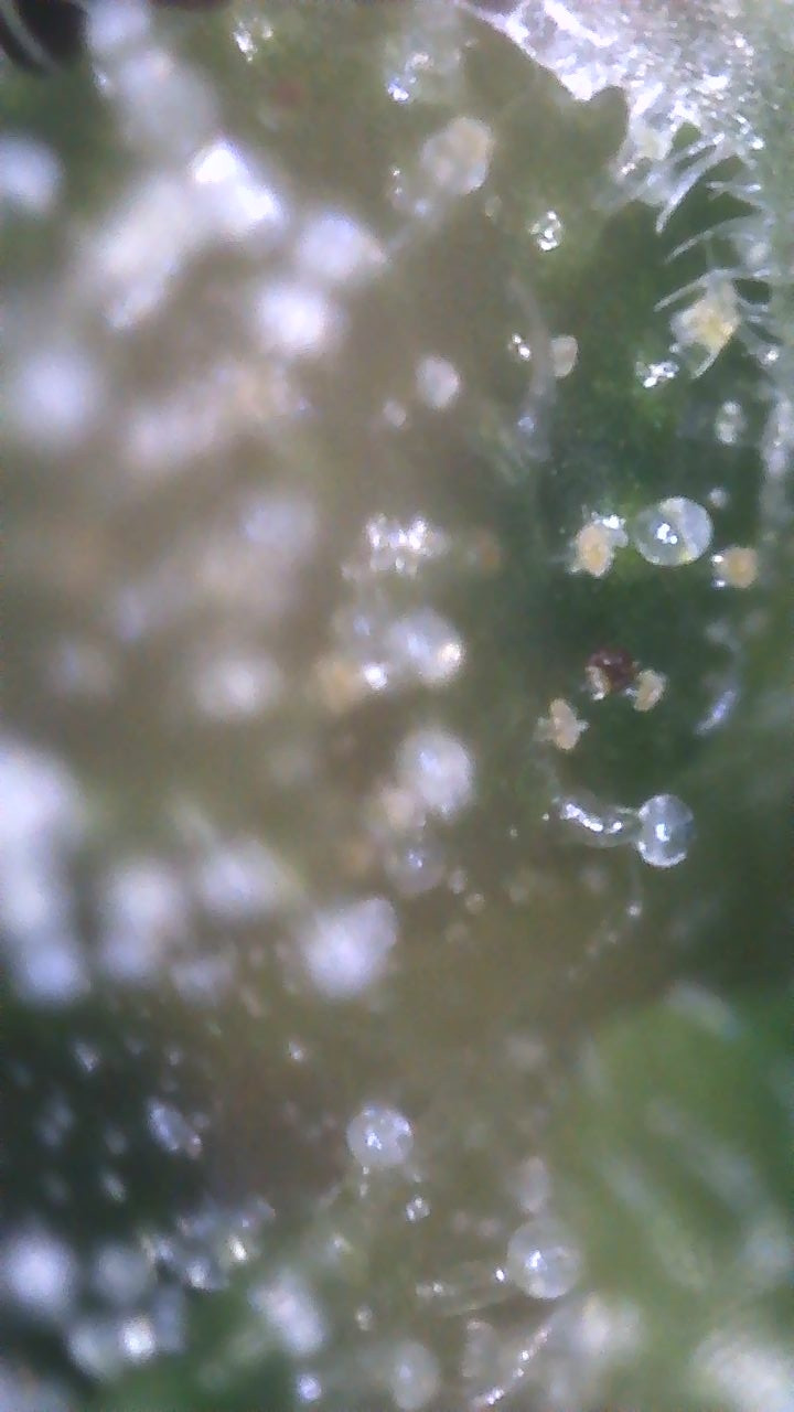 Image_2021-01-09 20_34_15_431.JPG