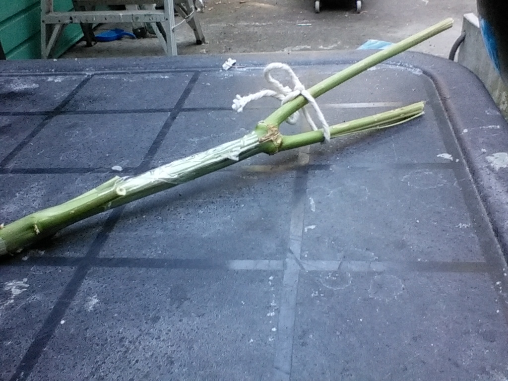 image_28230.jpg