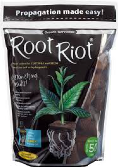 Click image for larger version  Name:	seedlings.png Views:	1 Size:	405.8 KB ID:	298734