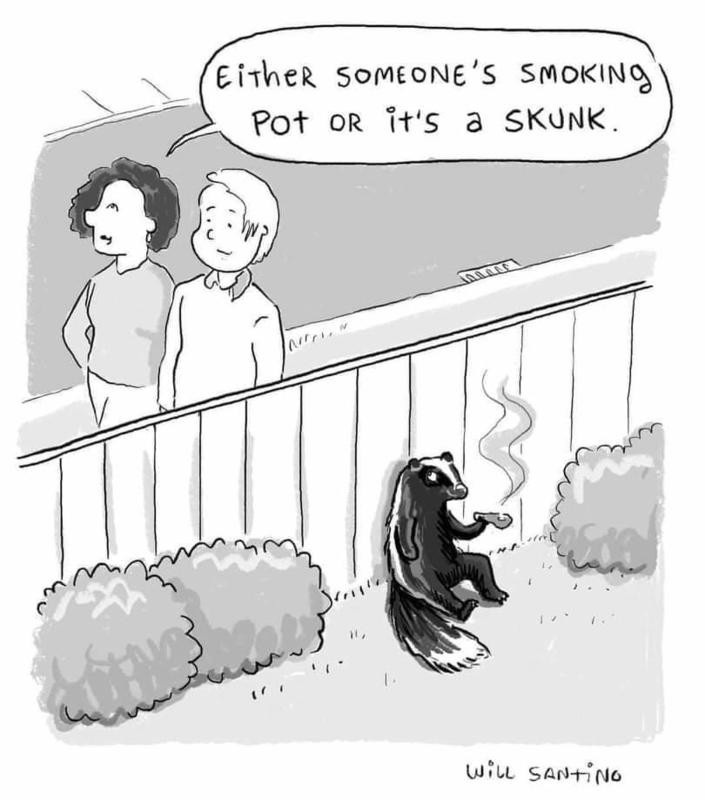 img.jpg