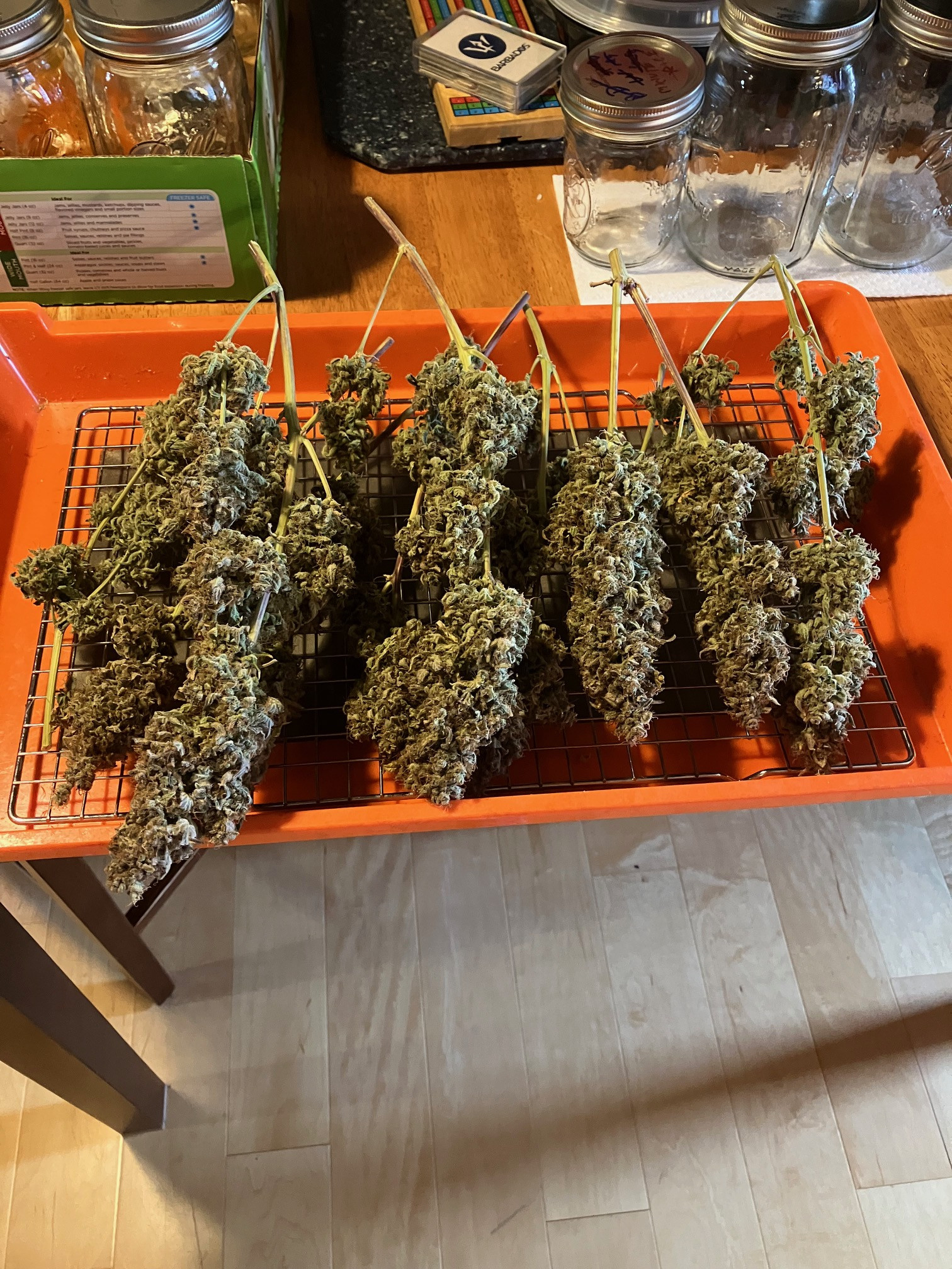 IMG_0069.jpg
