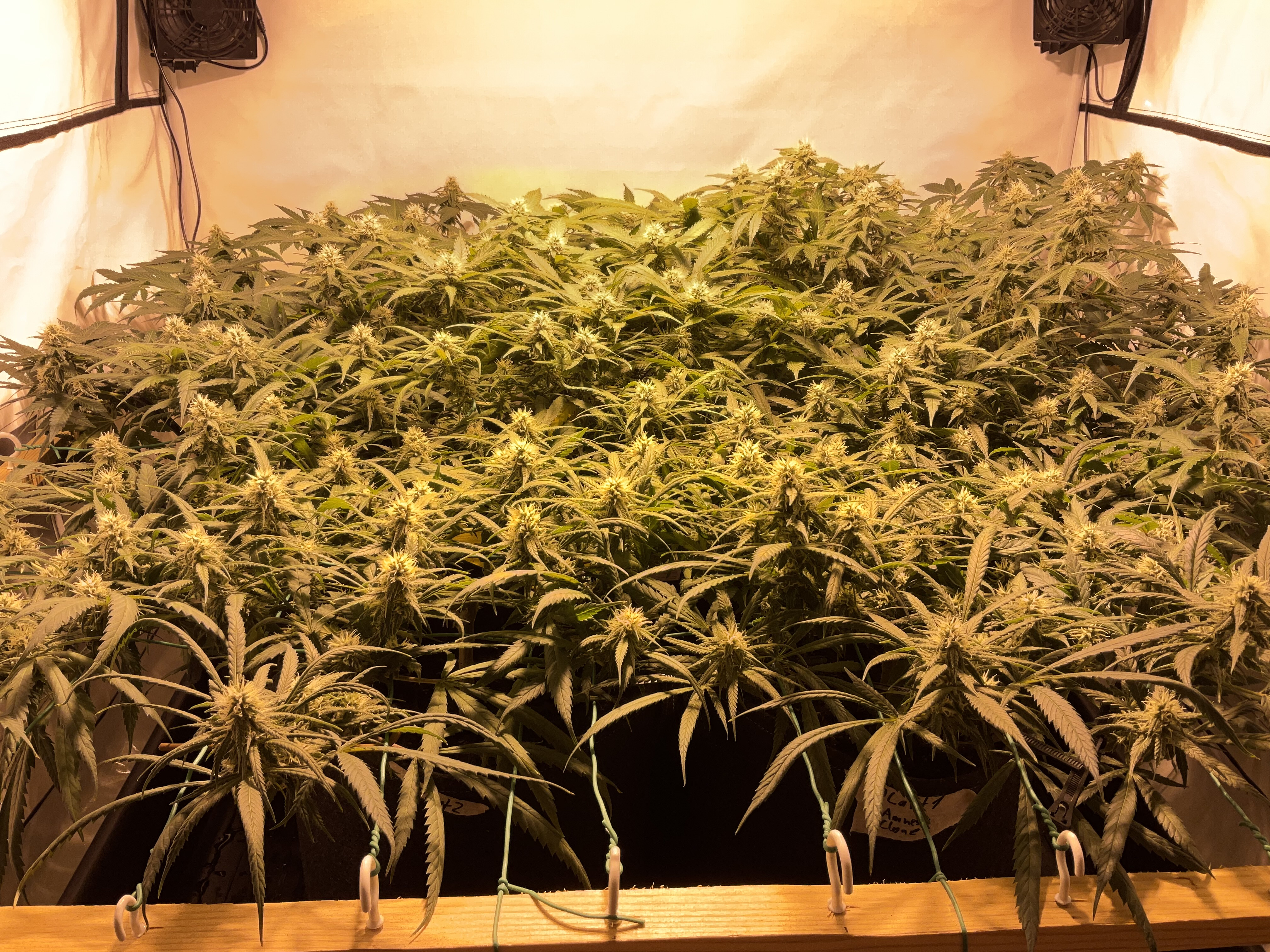 IMG_0362.jpg