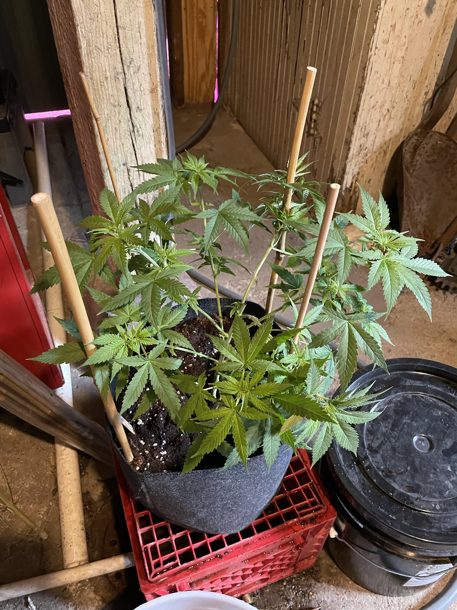 IMG_0389.jpg