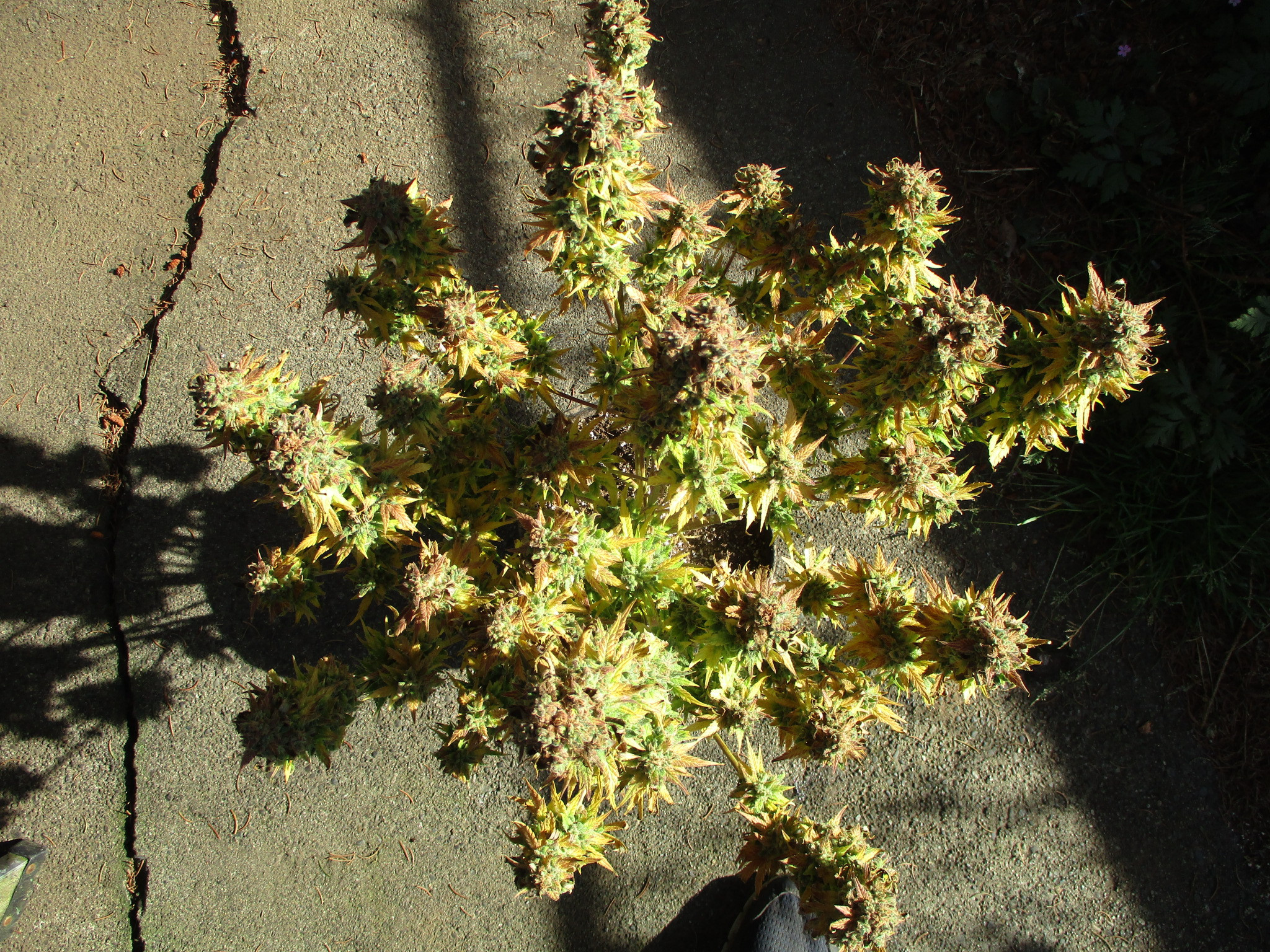 IMG_0841.JPG