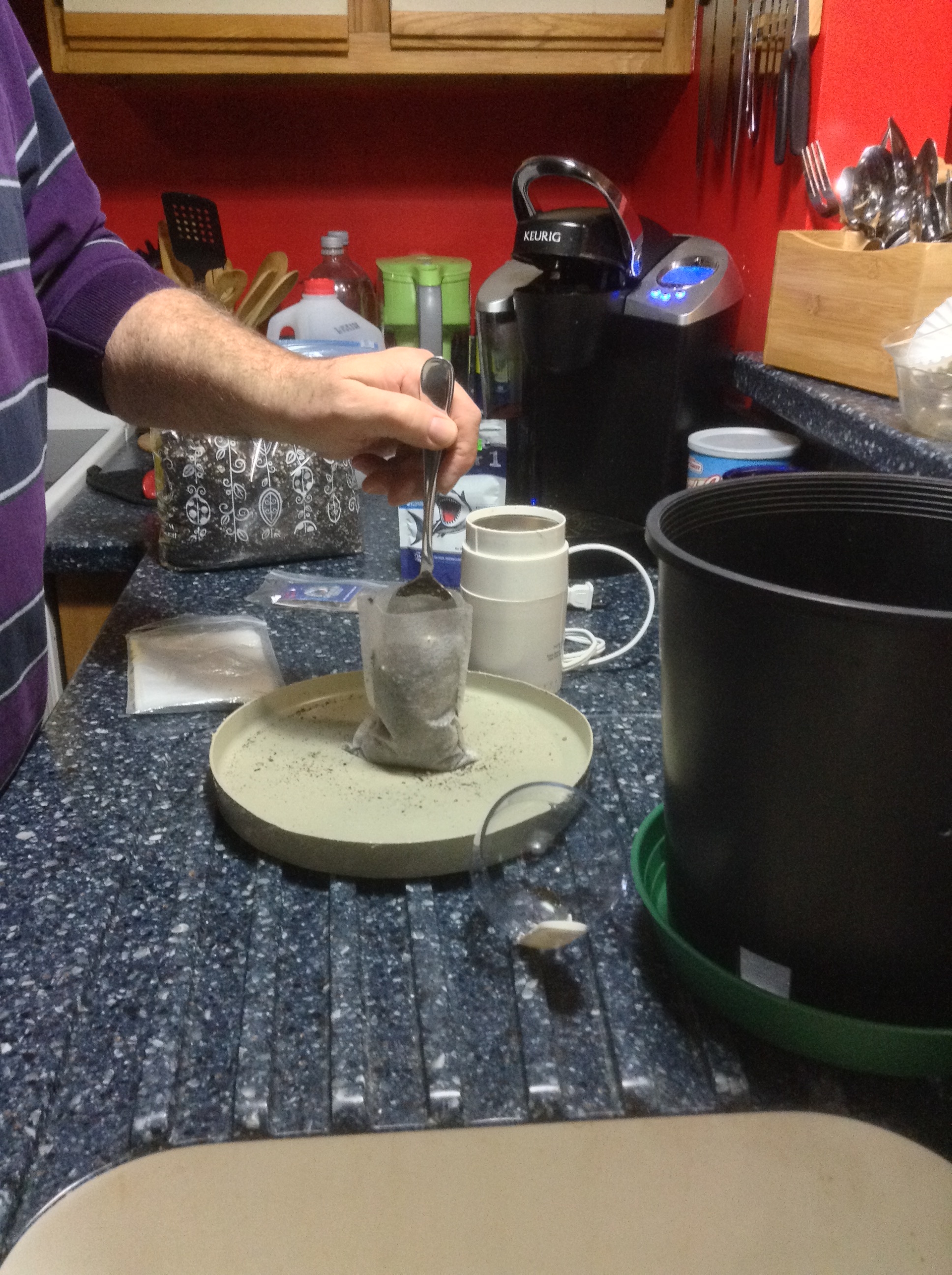 top off with seed (or grind) soil