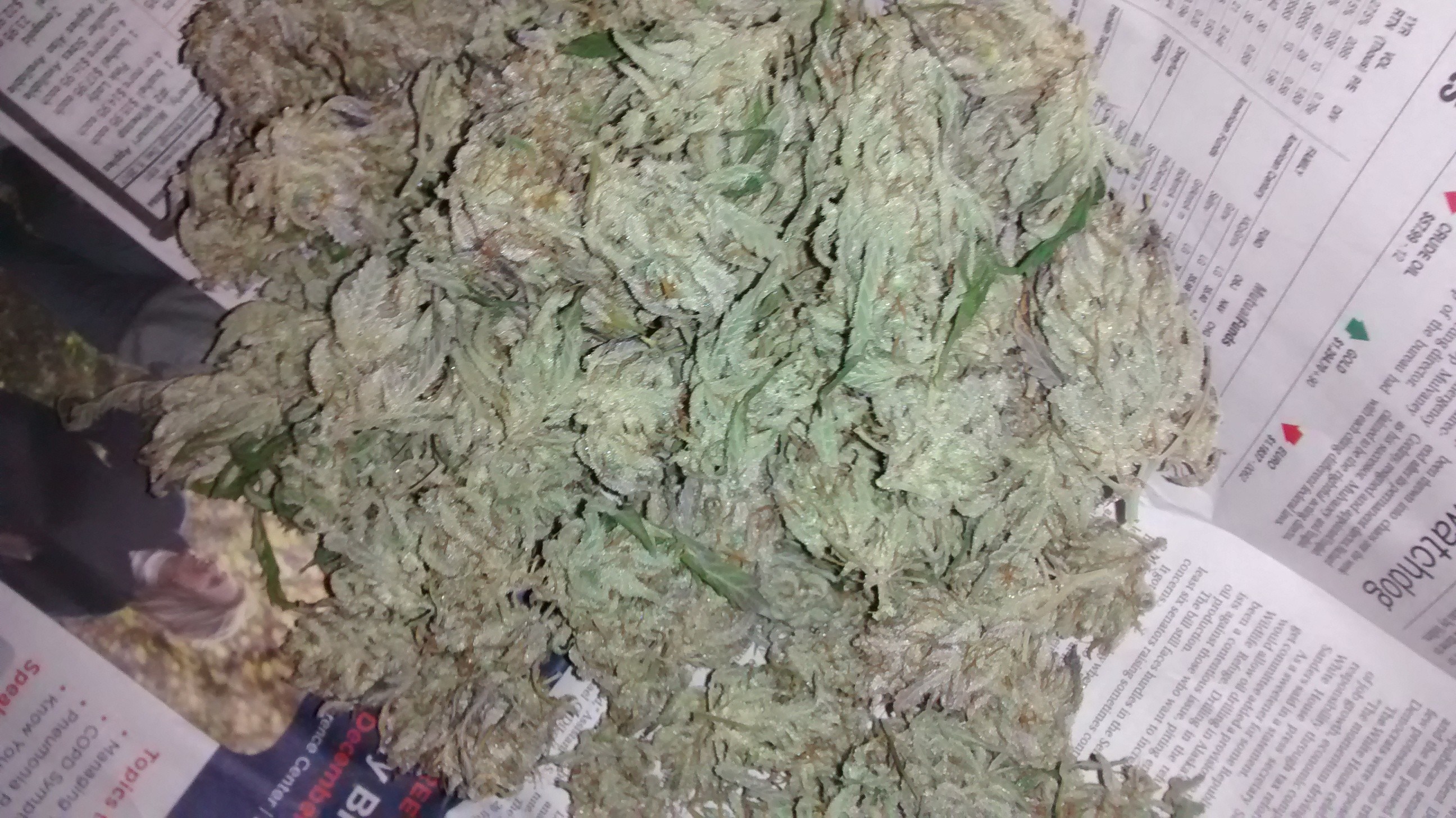 IMG_20180123_100450111.jpg