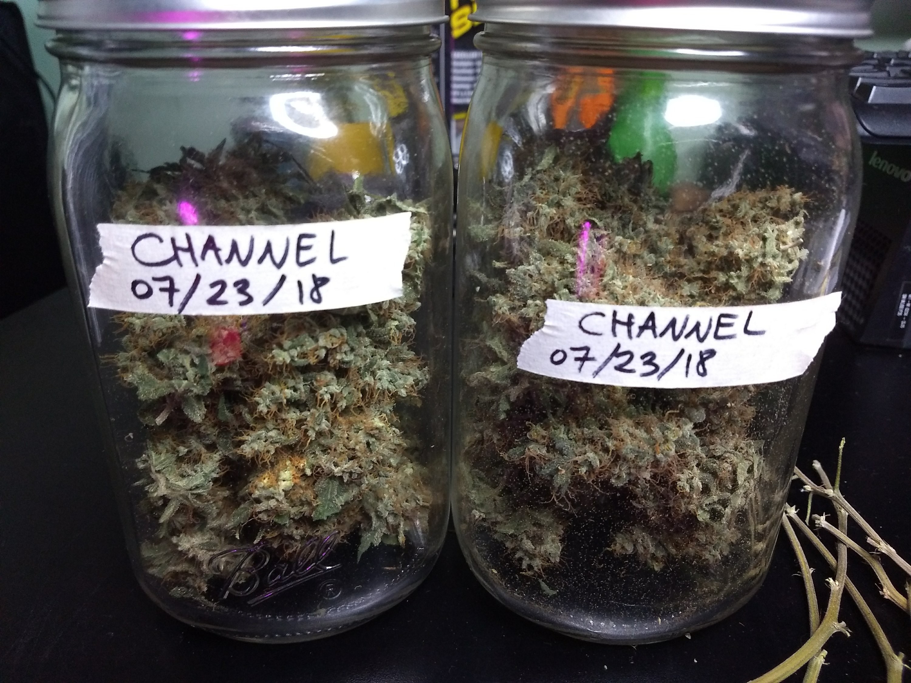 Starting the Curing Process