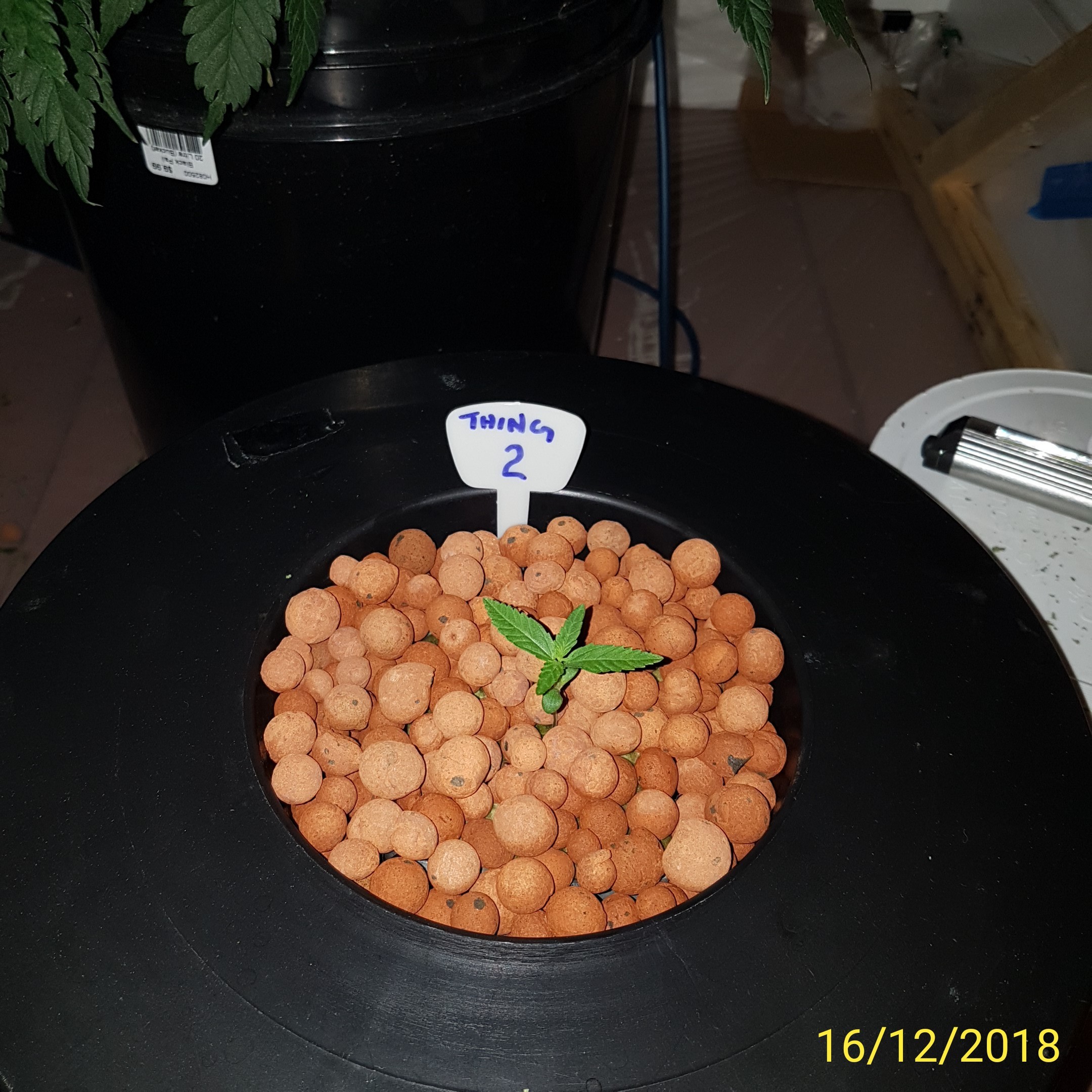 IMG_20181216_011649.jpg