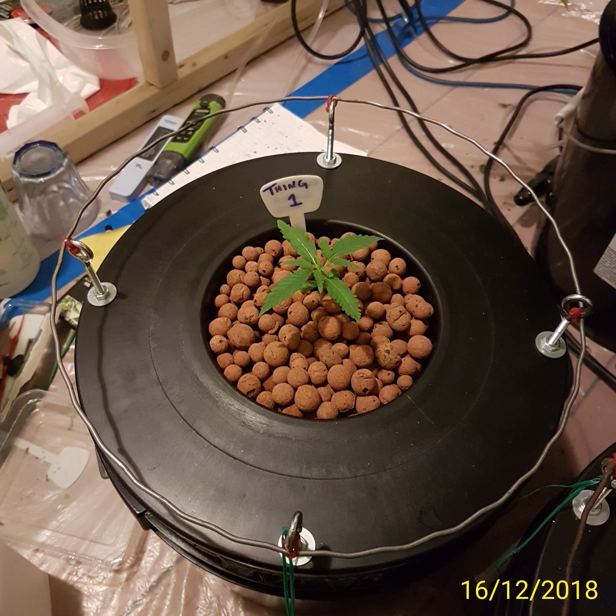 IMG_20181216_011752.jpg