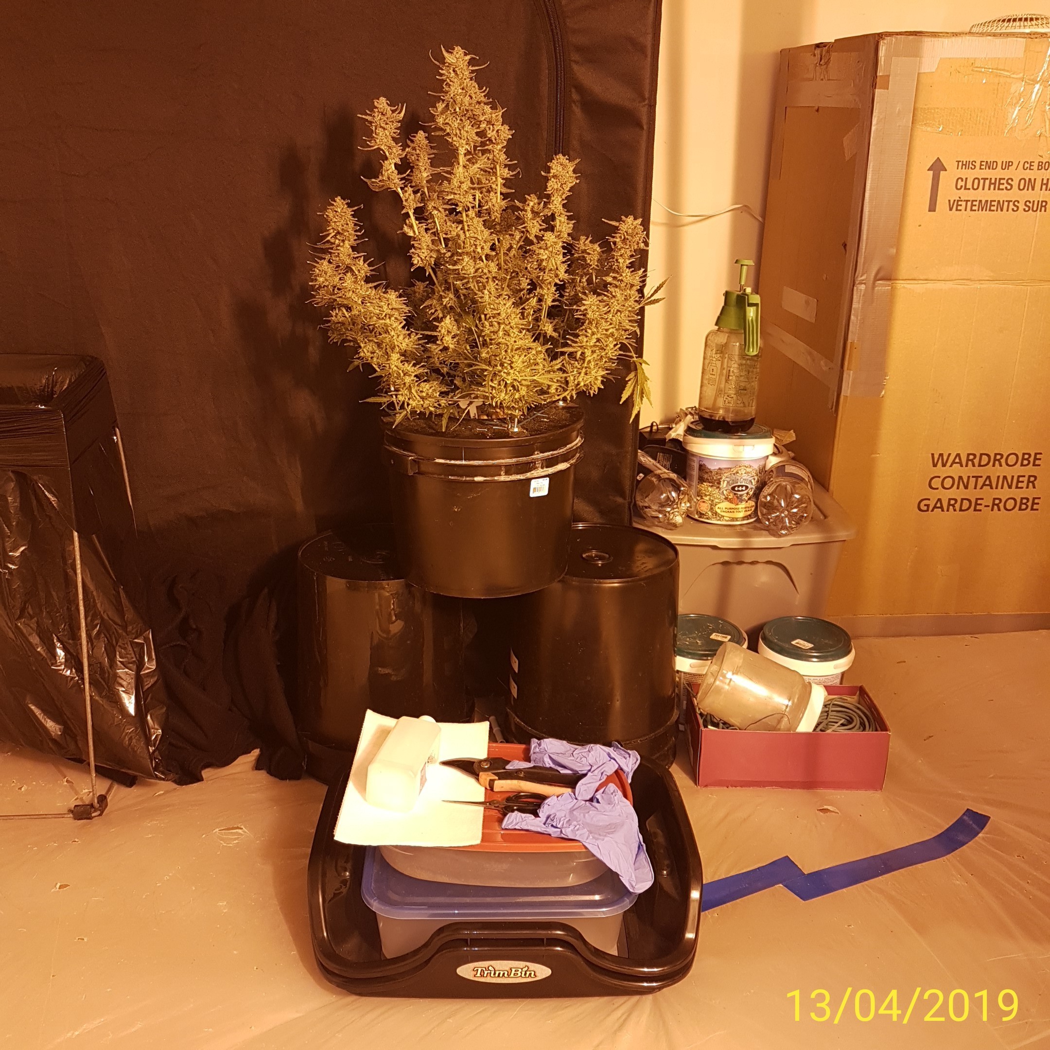 IMG_20190413_141935.jpg