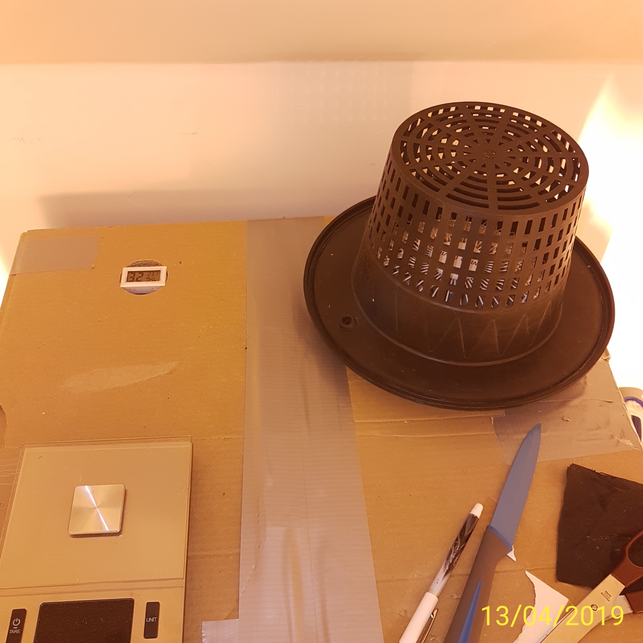 IMG_20190413_150646.jpg