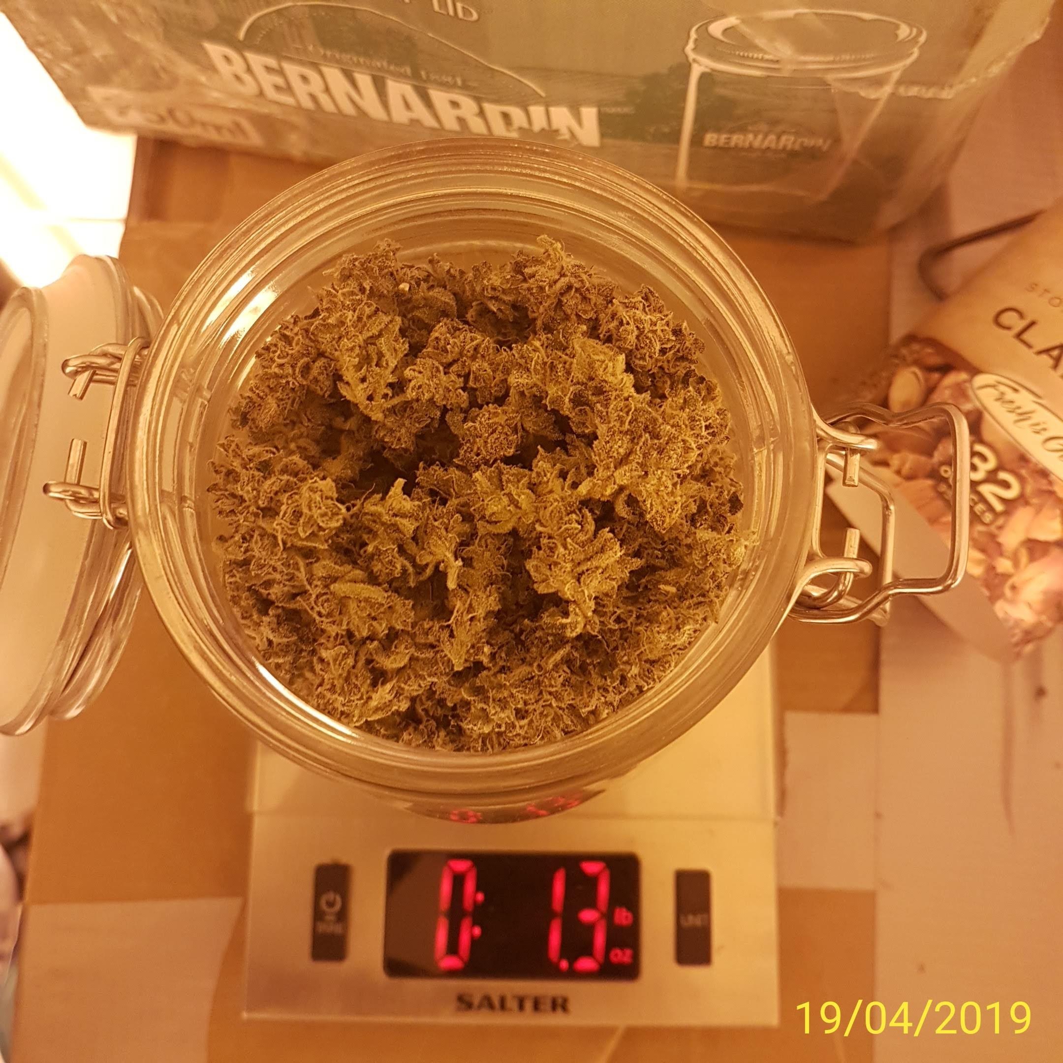 IMG_20190419_234213.jpg