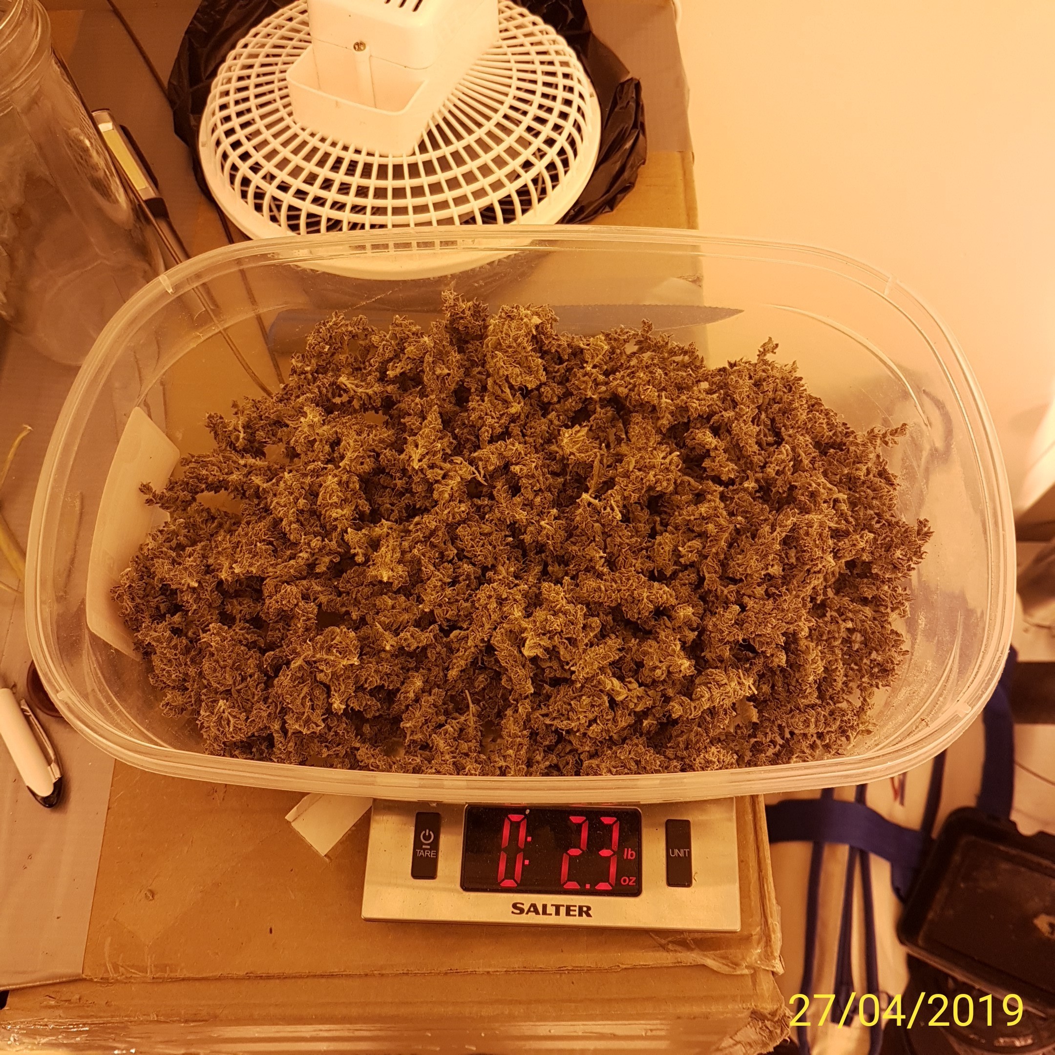 IMG_20190427_150924.jpg