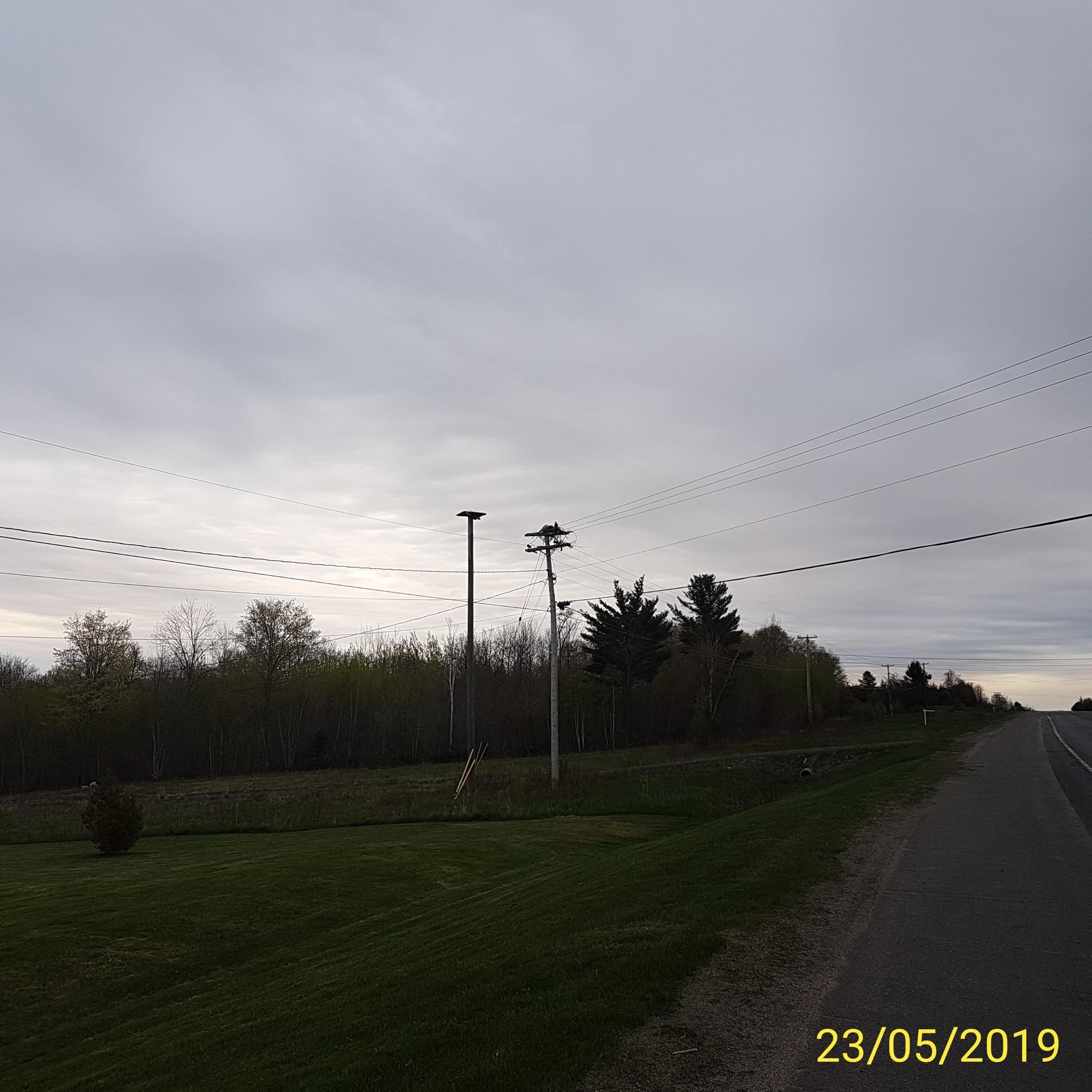 IMG_20190523_202413.jpg