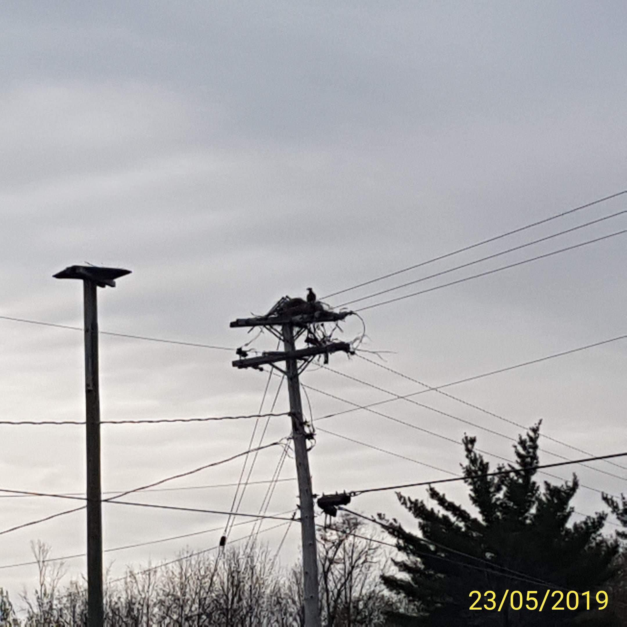 IMG_20190523_202422.jpg