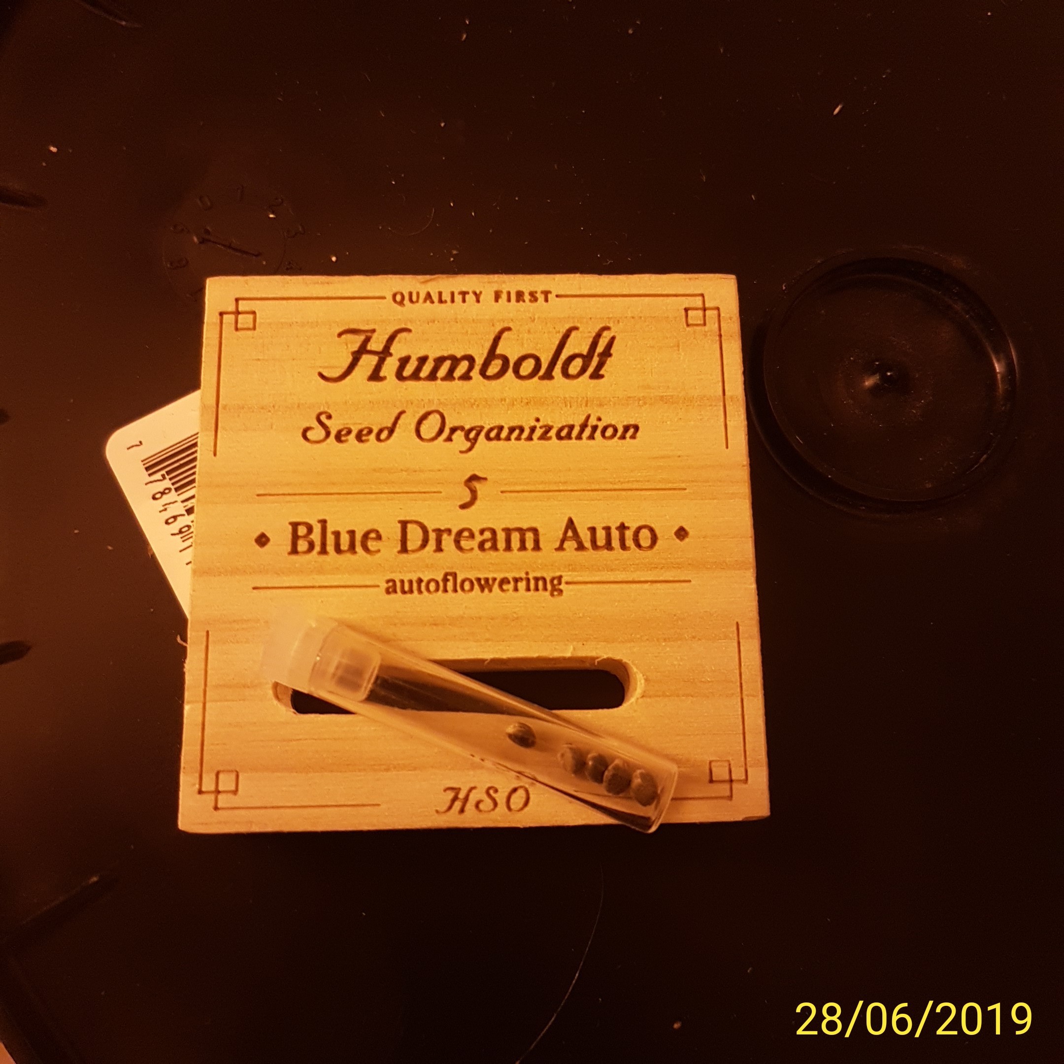 IMG_20190628_223317.jpg