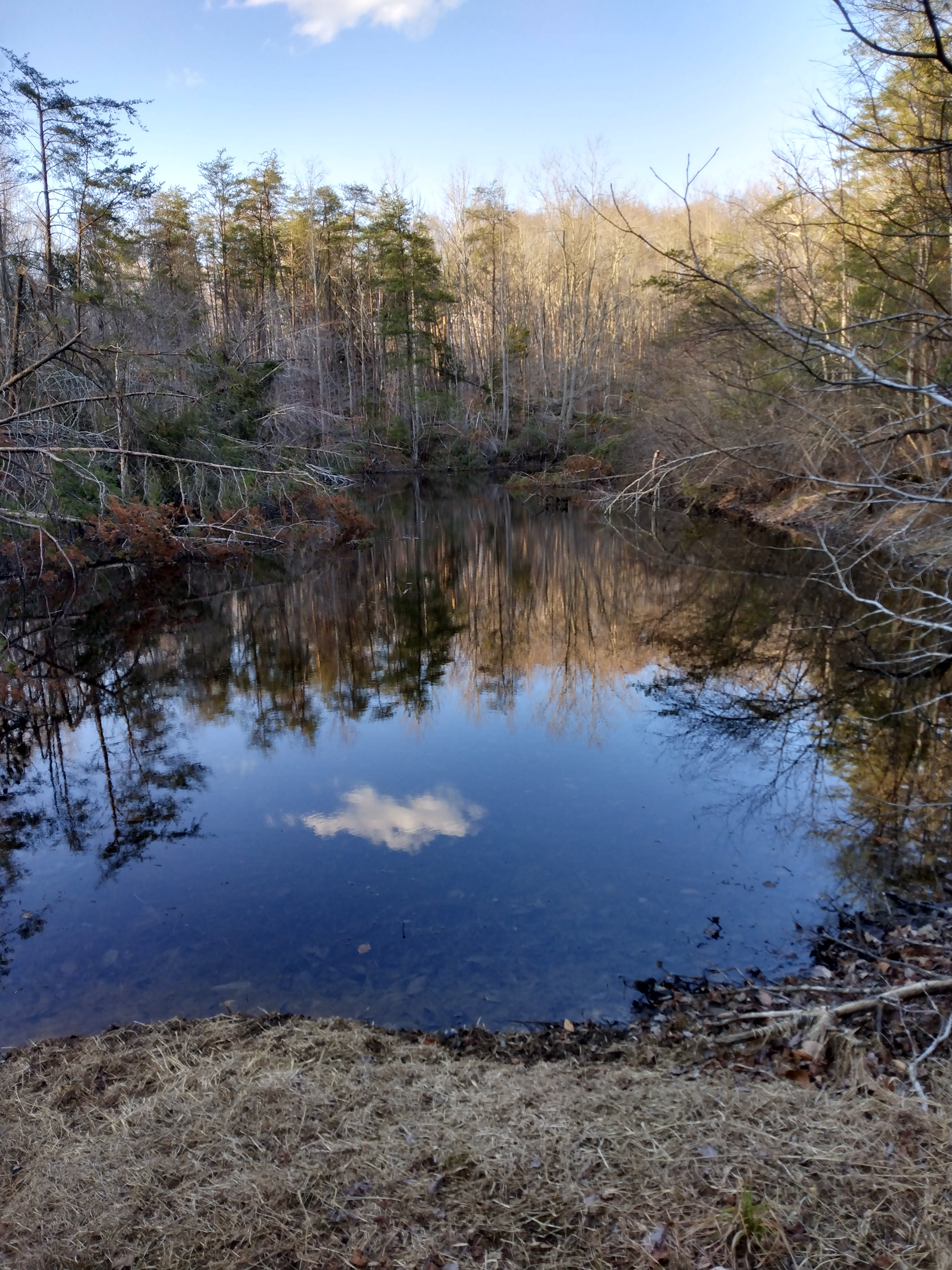 IMG_20220319_182134593_HDR.jpg