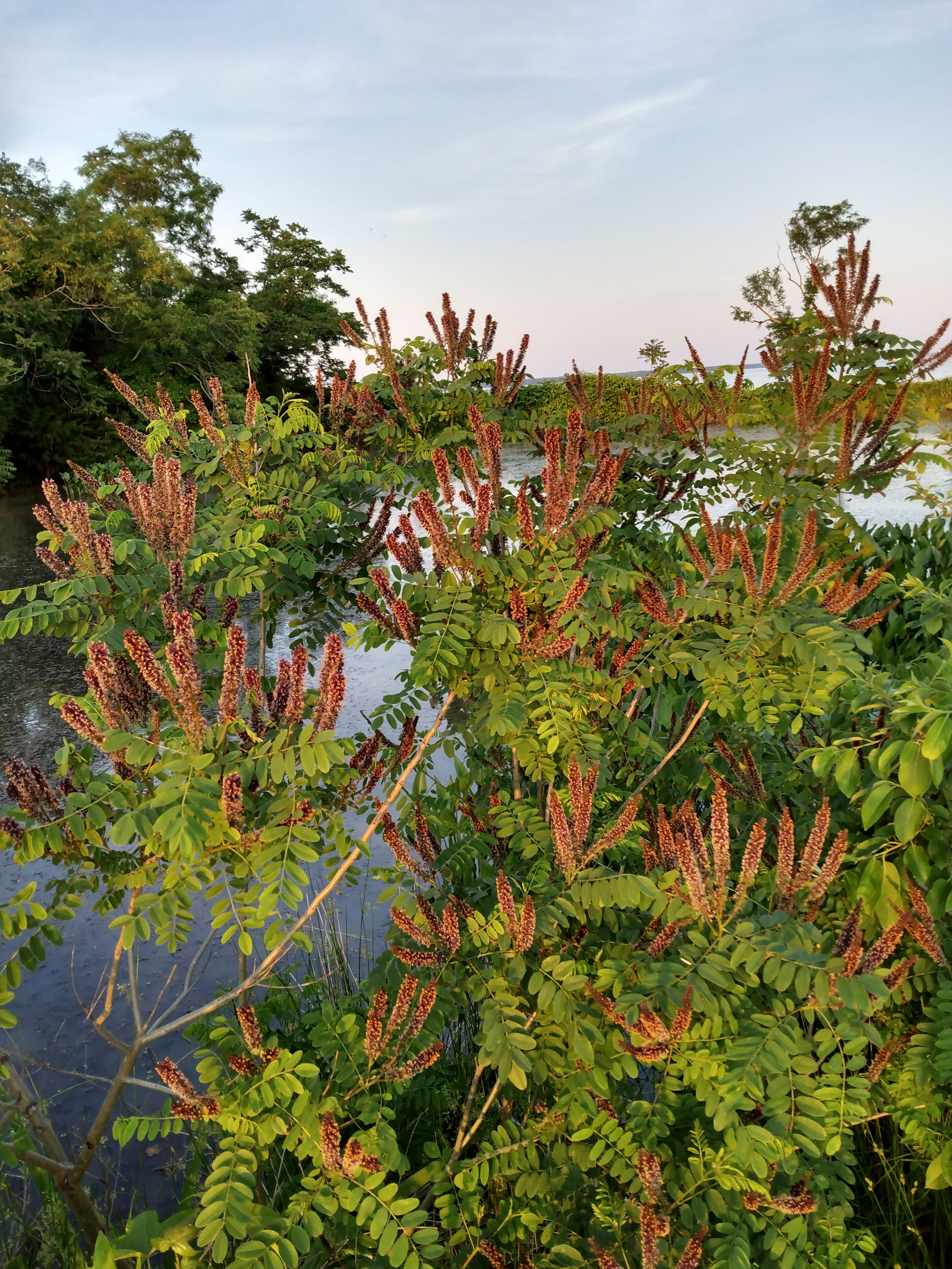 IMG_20220521_195305906_HDR.jpg