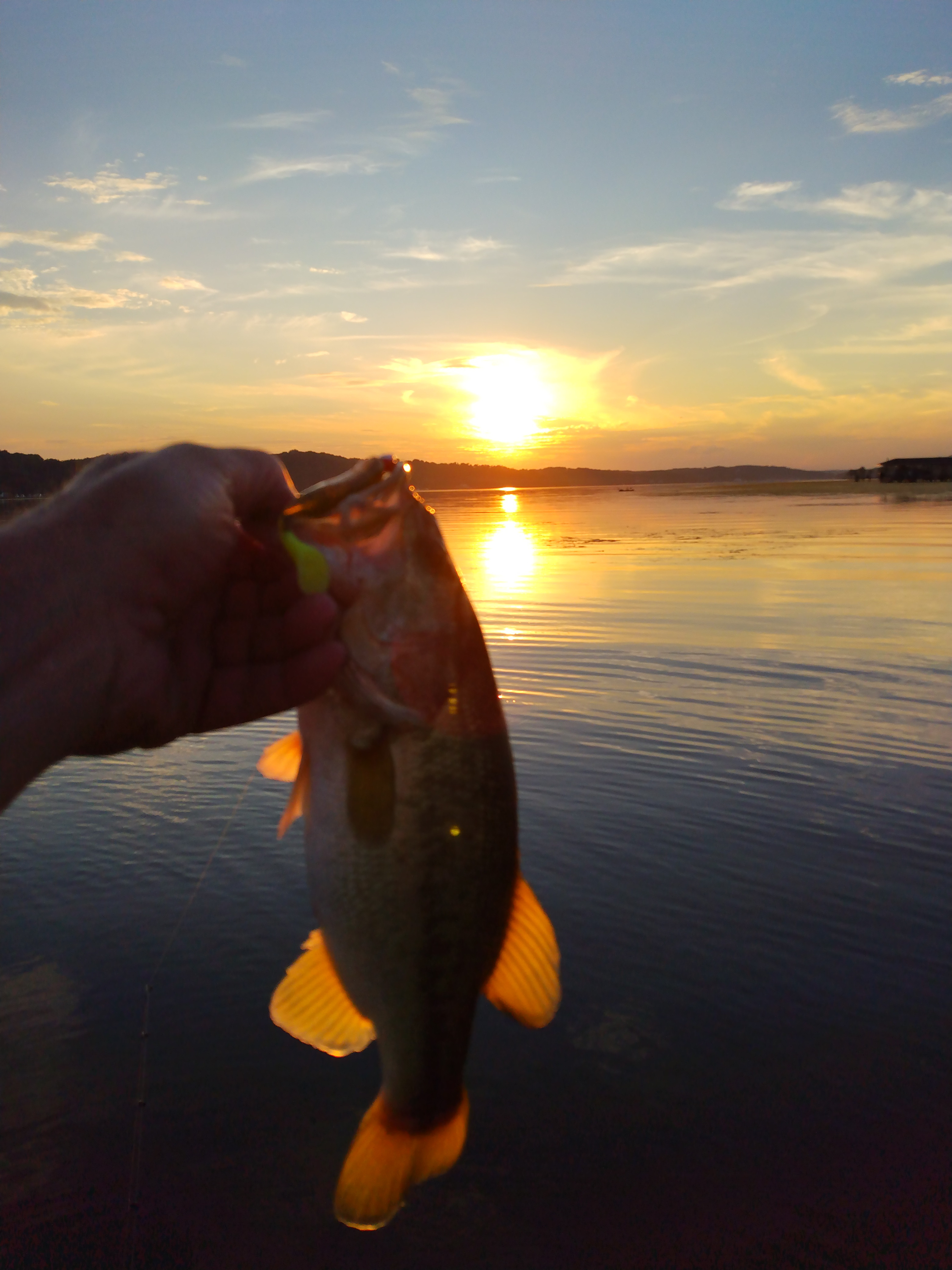 IMG_20220702_201203168.jpg