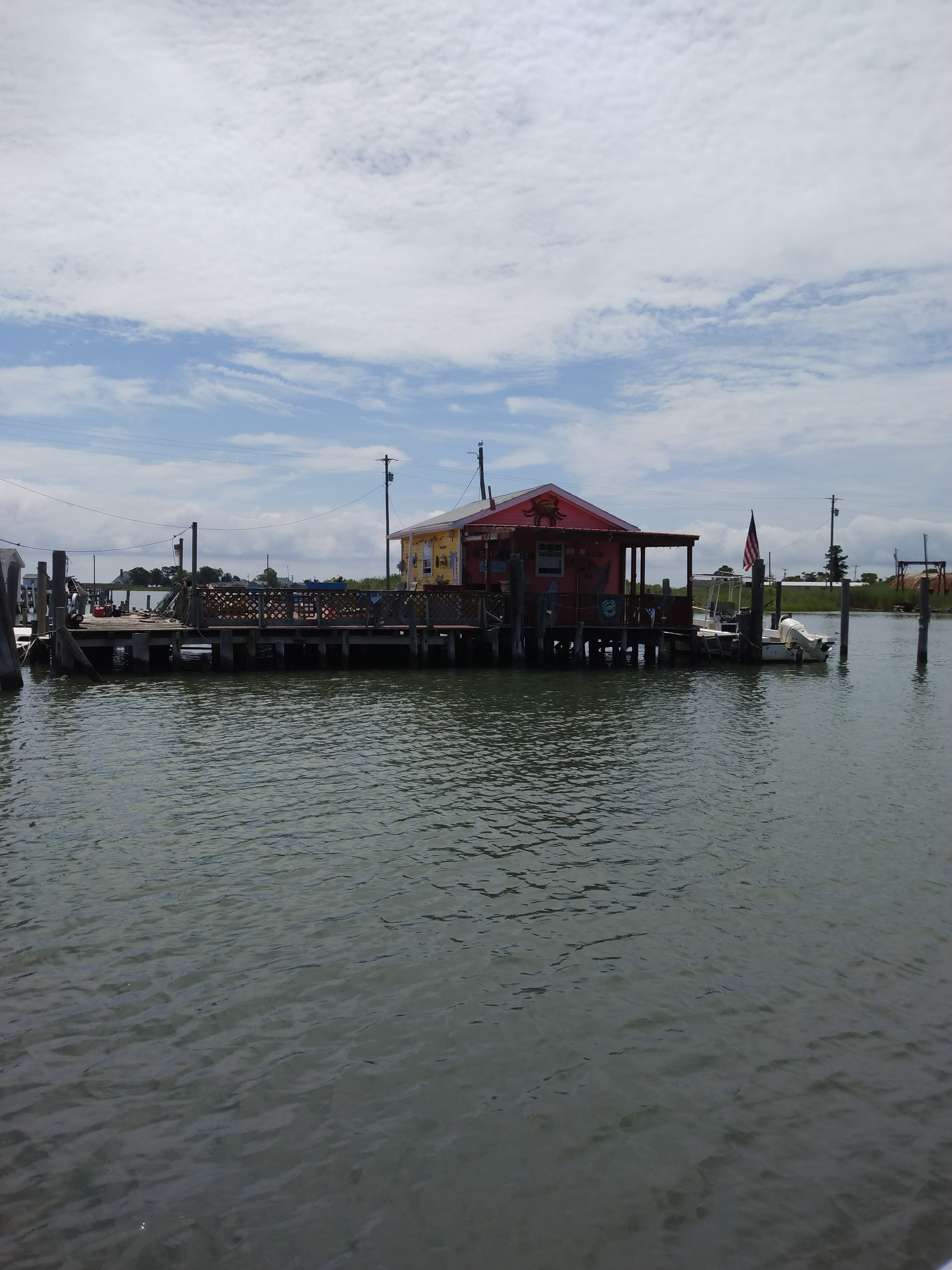 IMG_20220727_121528476.jpg