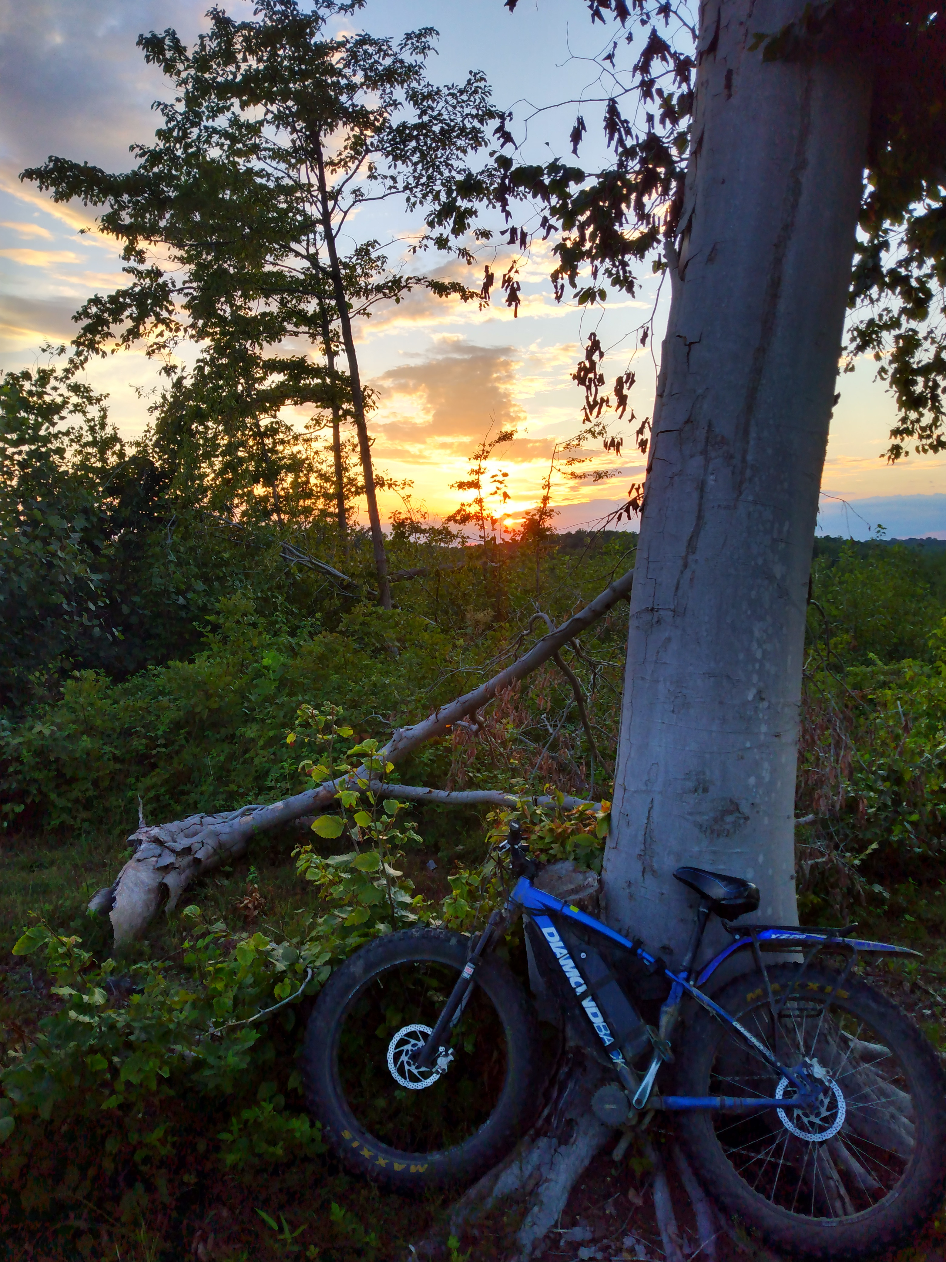 IMG_20220816_194646750_HDR.jpg