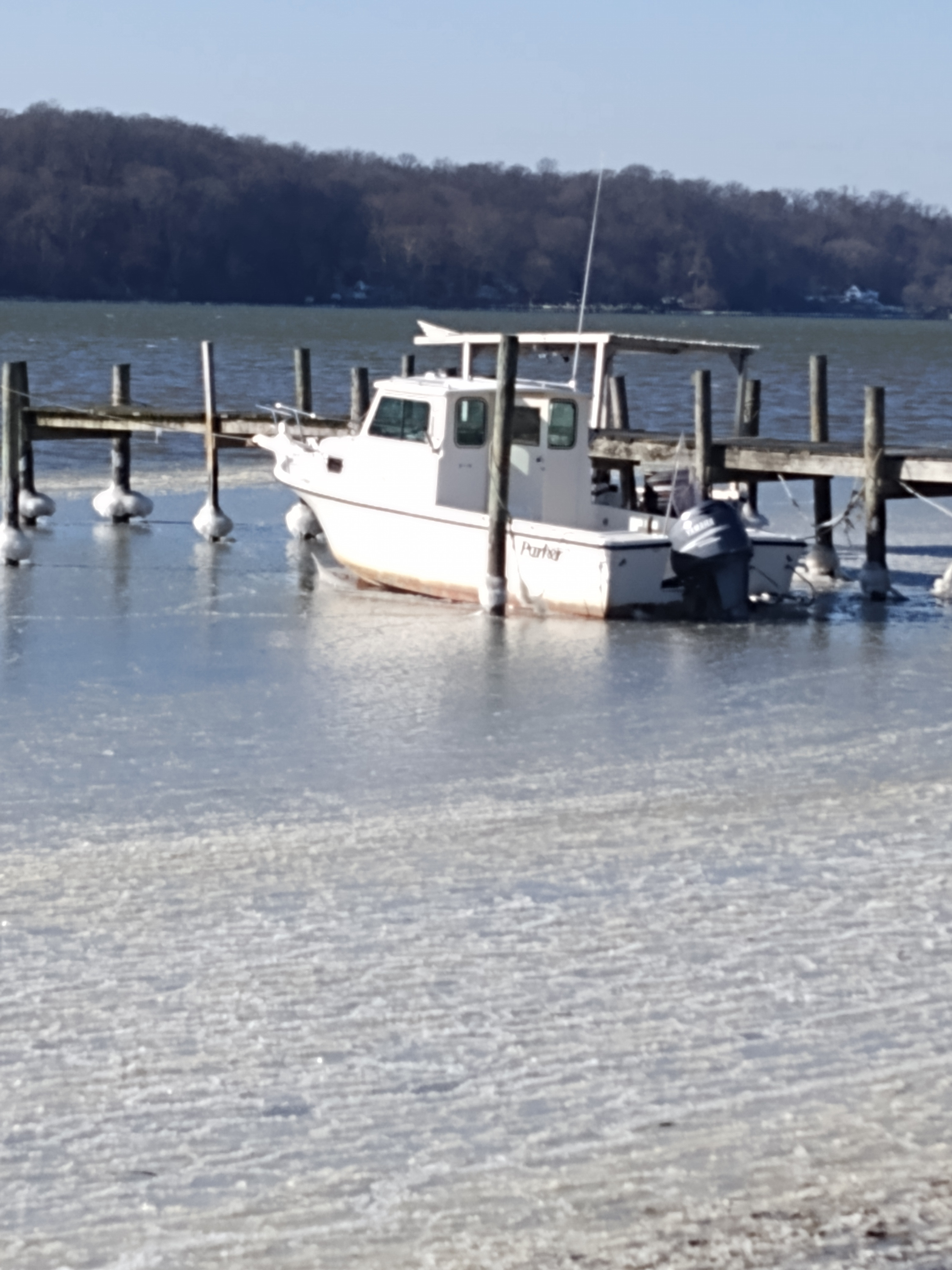 IMG_20221224_132623276.jpg
