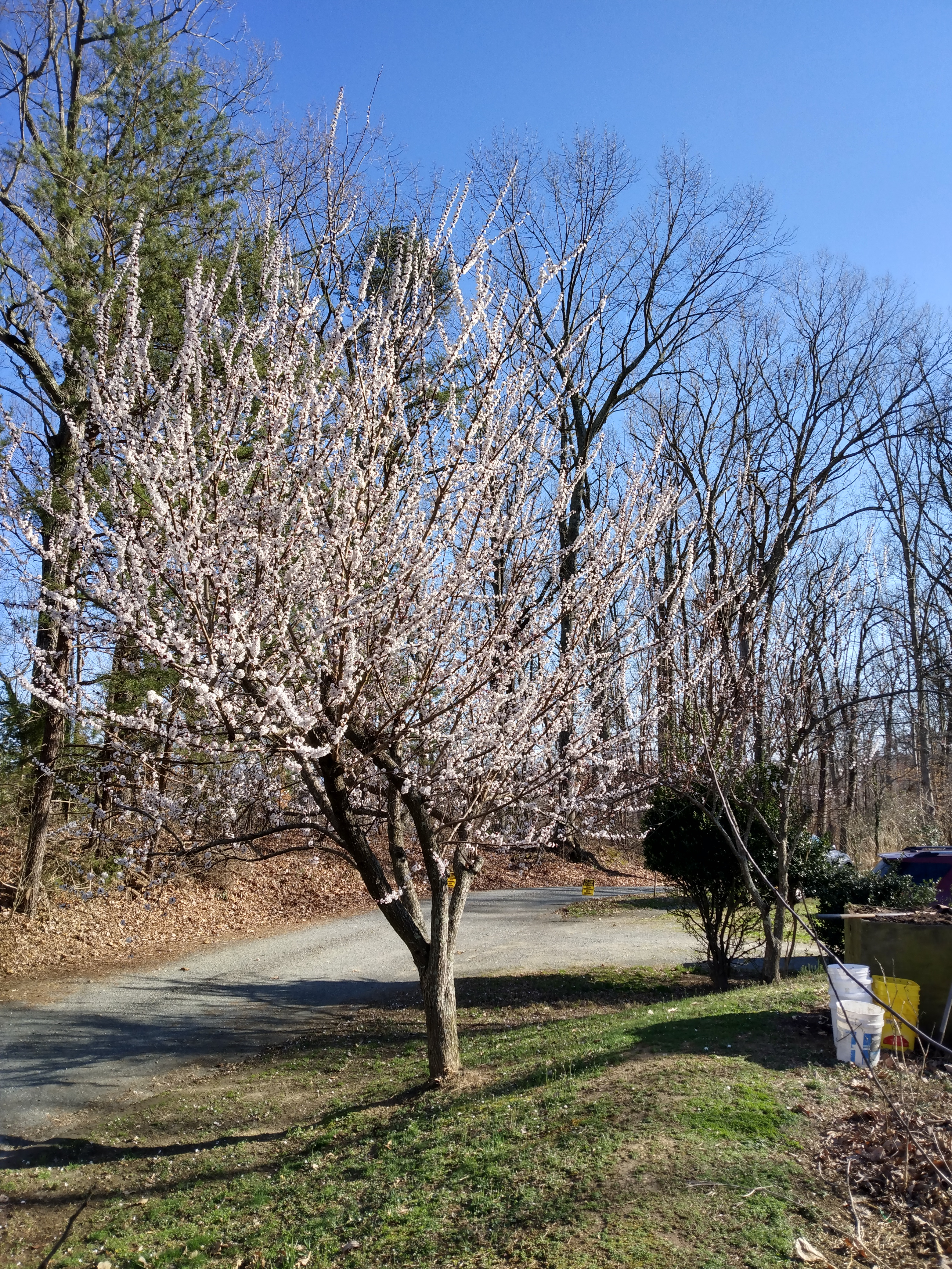 IMG_20230304_154509780_HDR.jpg