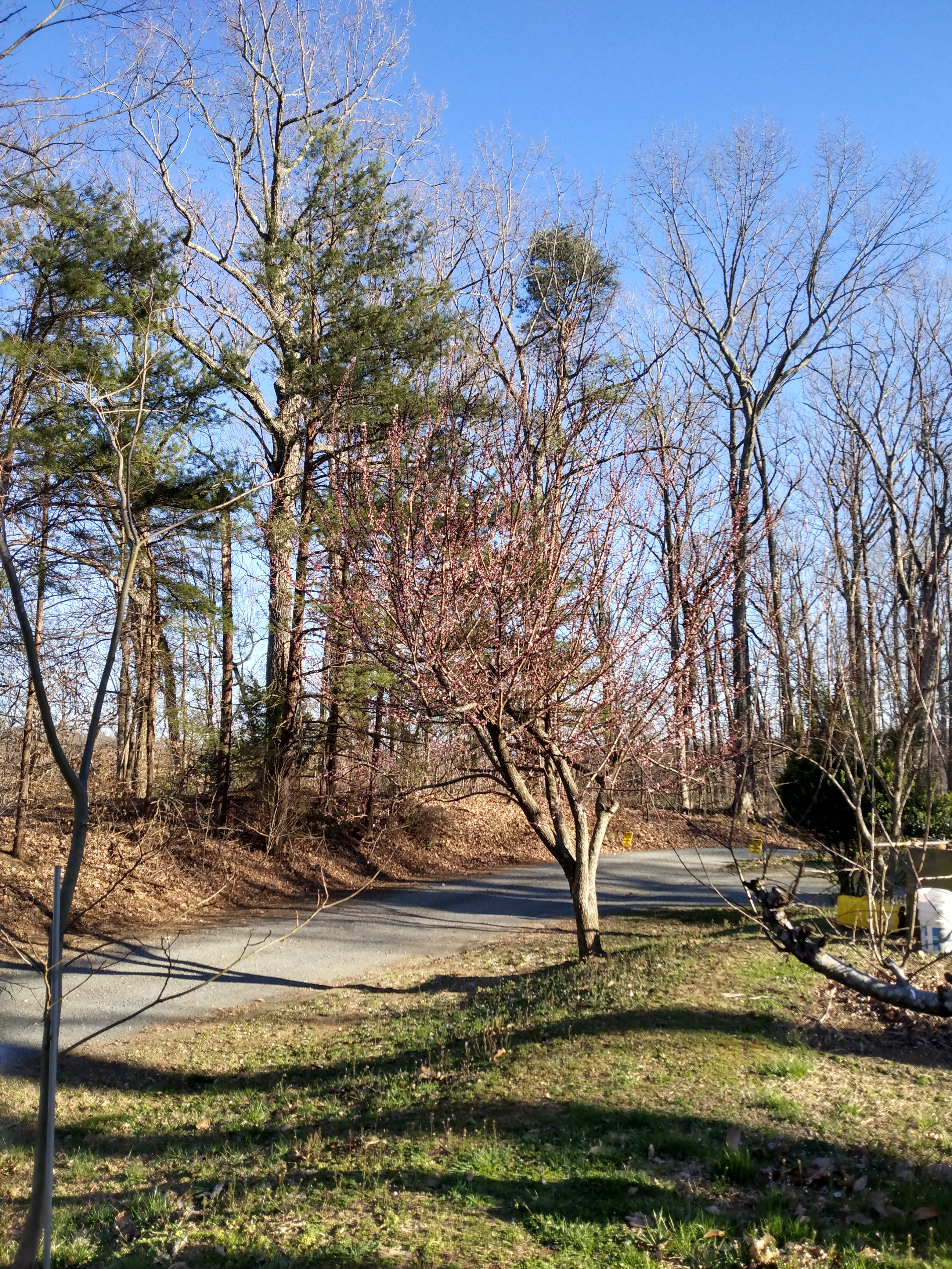IMG_20230315_174529134_HDR.jpg