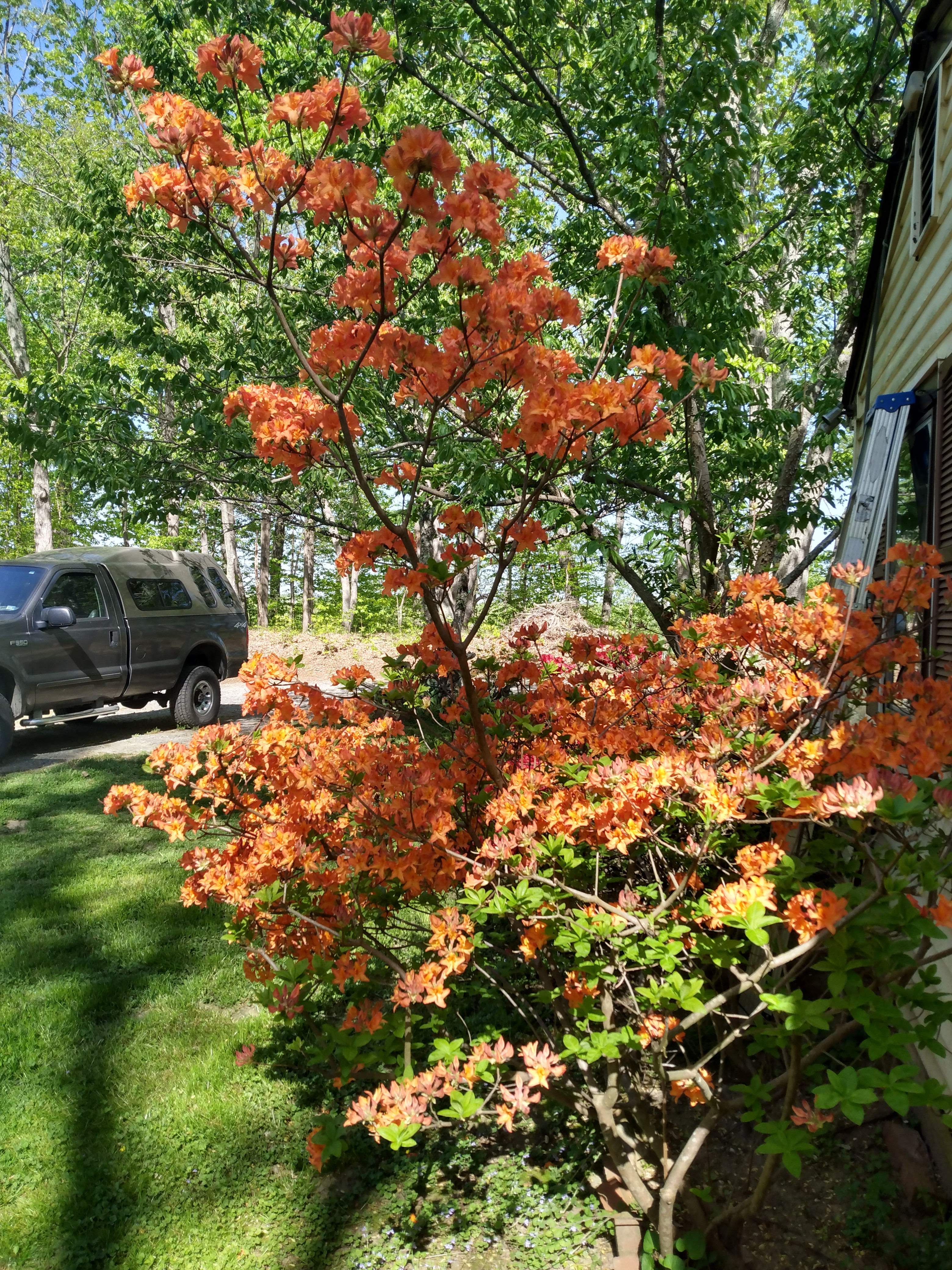 IMG_20230418_160505982_HDR.jpg