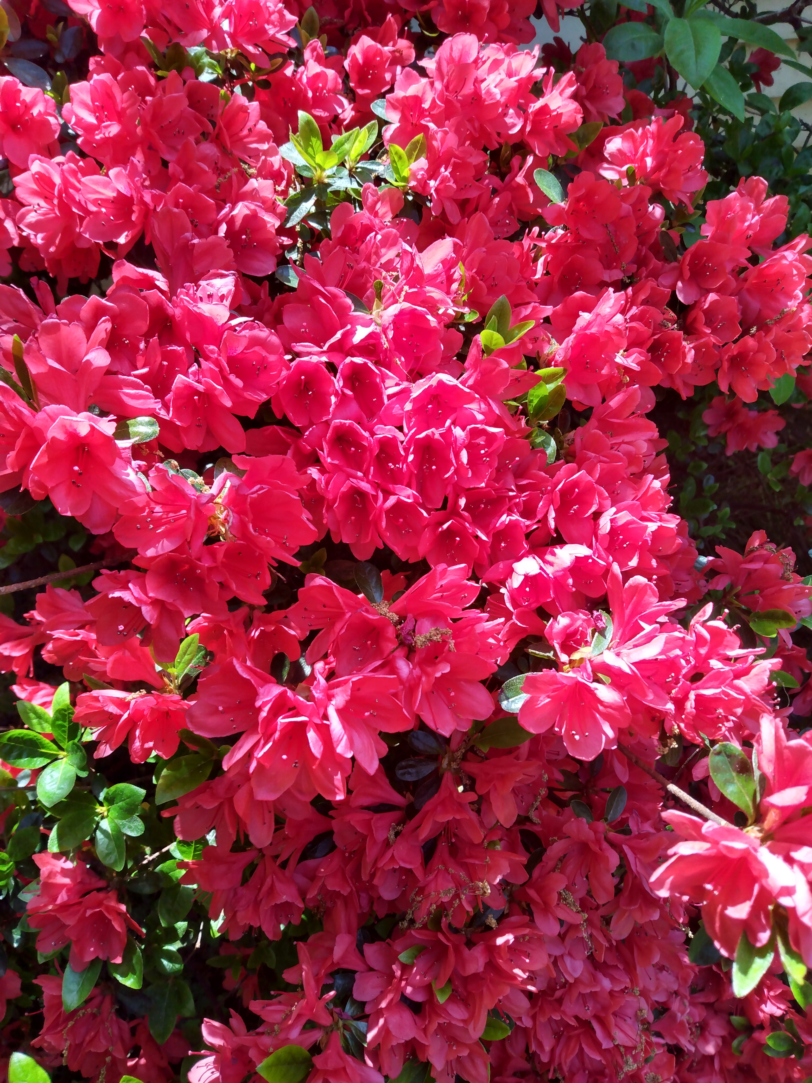 IMG_20230426_124121865_HDR.jpg