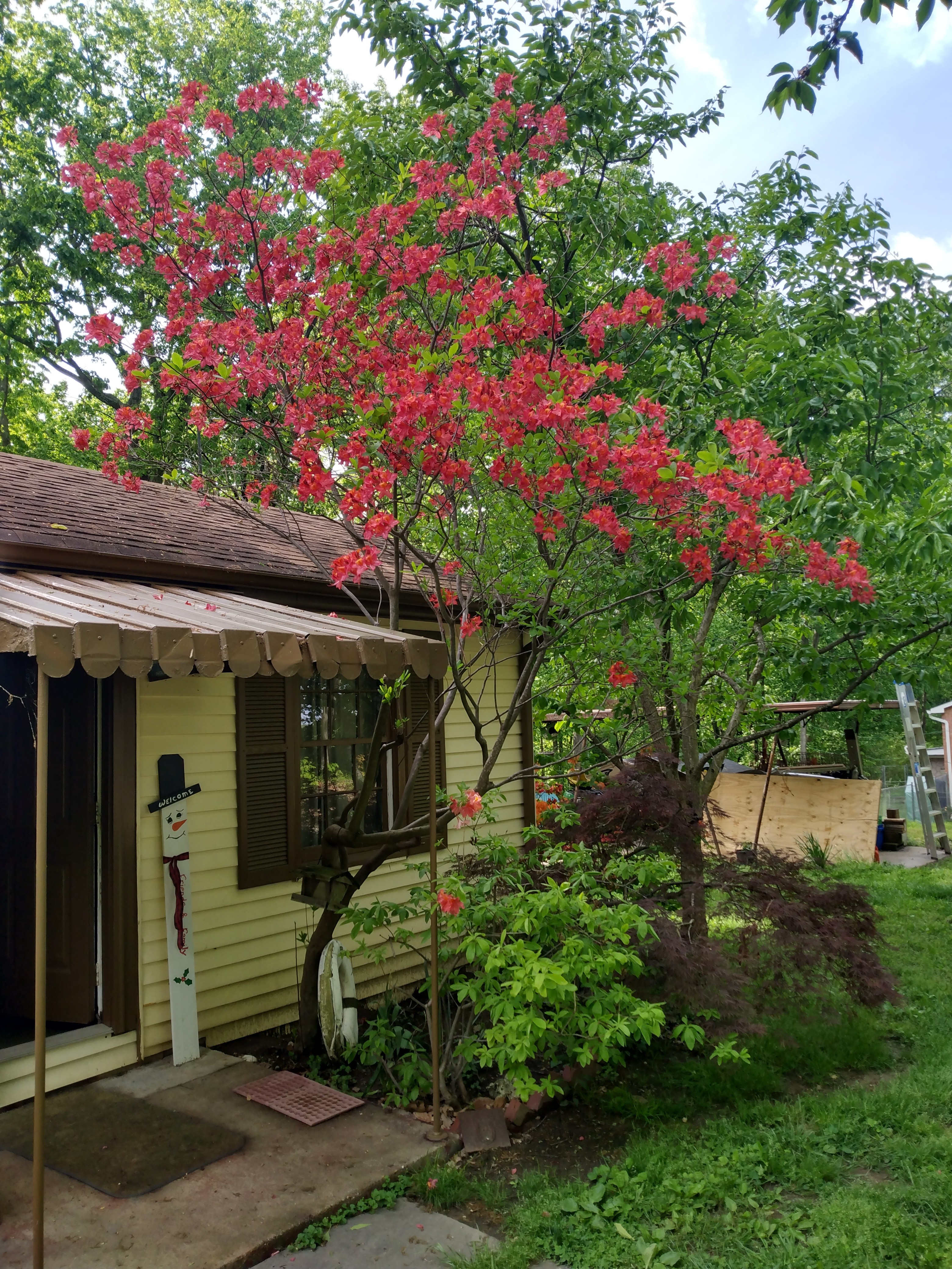 IMG_20230429_163651045_HDR.jpg