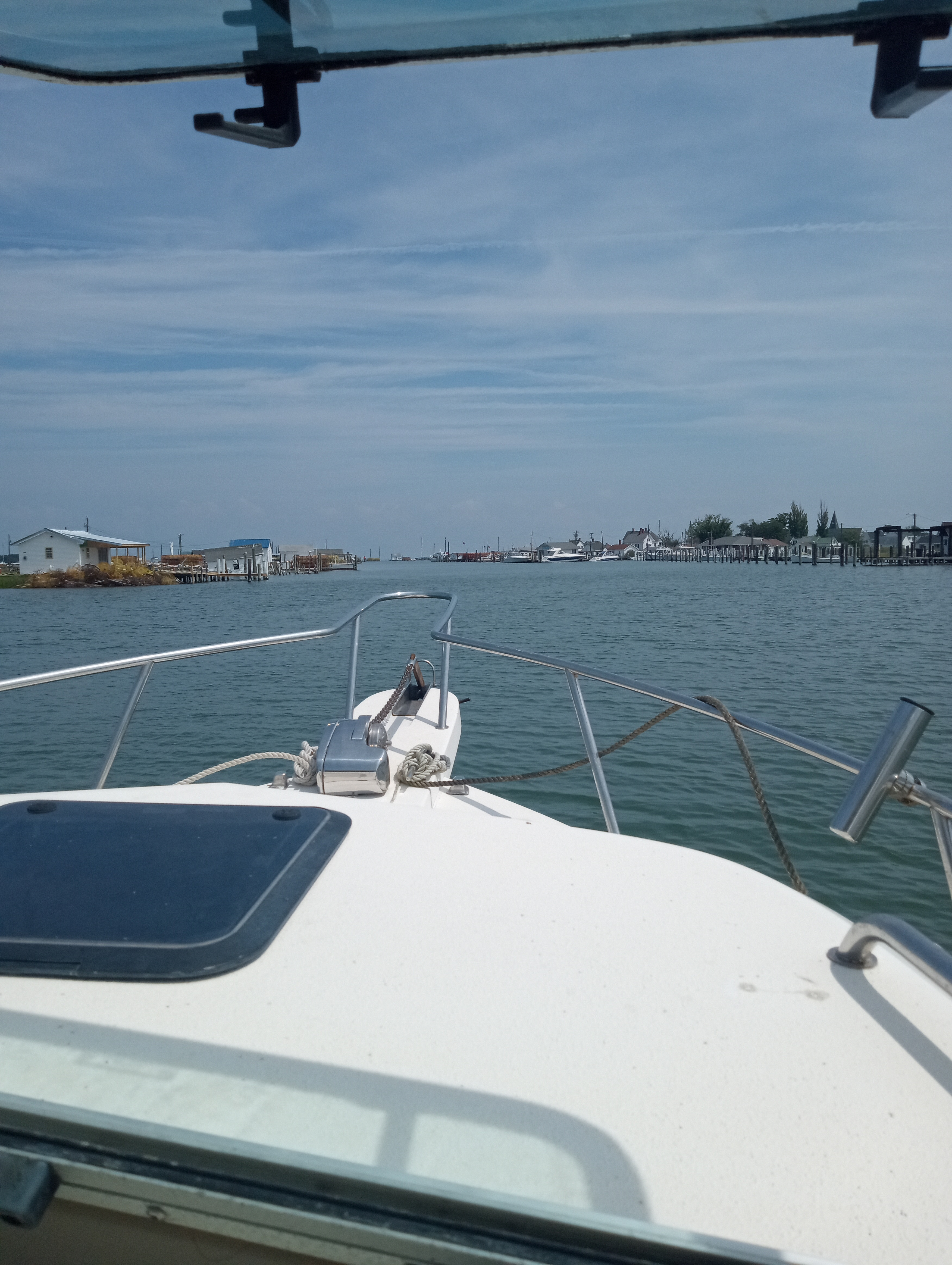 IMG_20230805_142051675.jpg