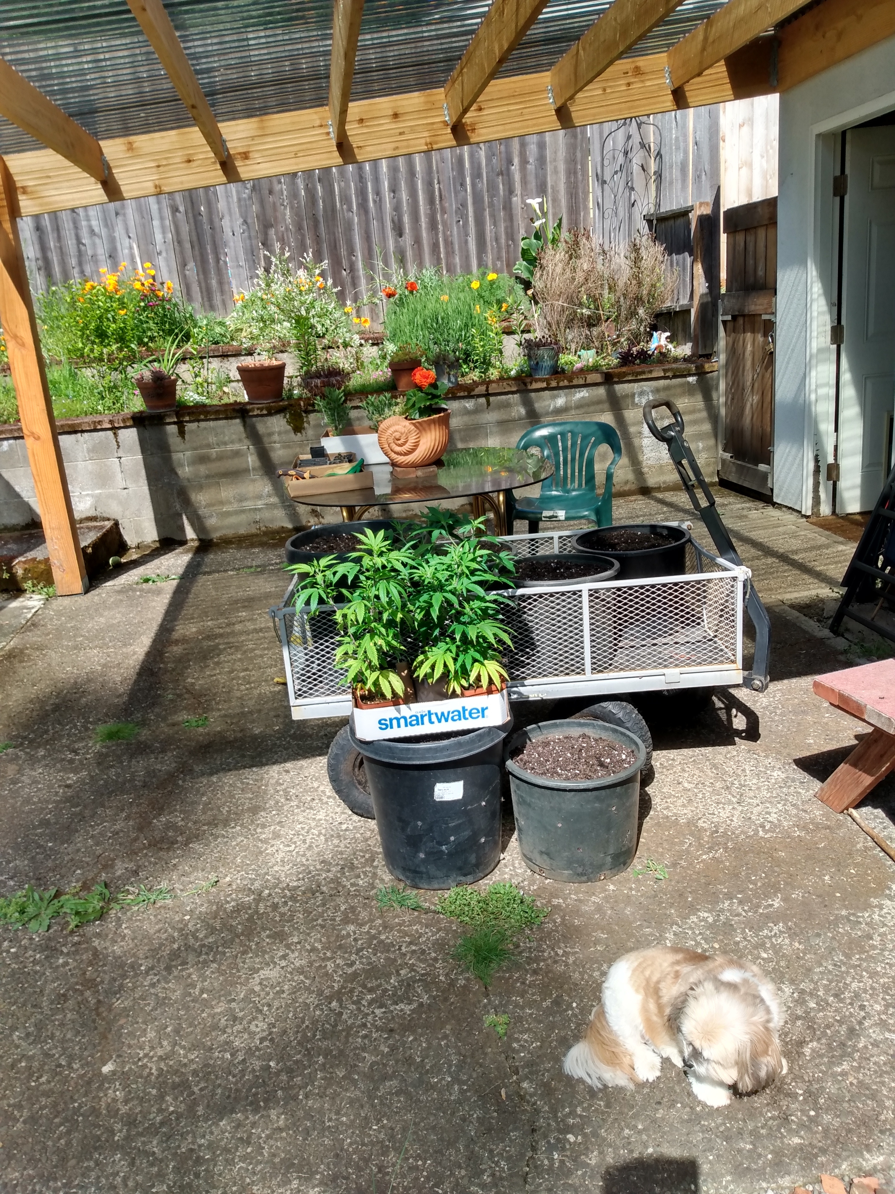 IMG_20240508_103412004_HDR.jpg