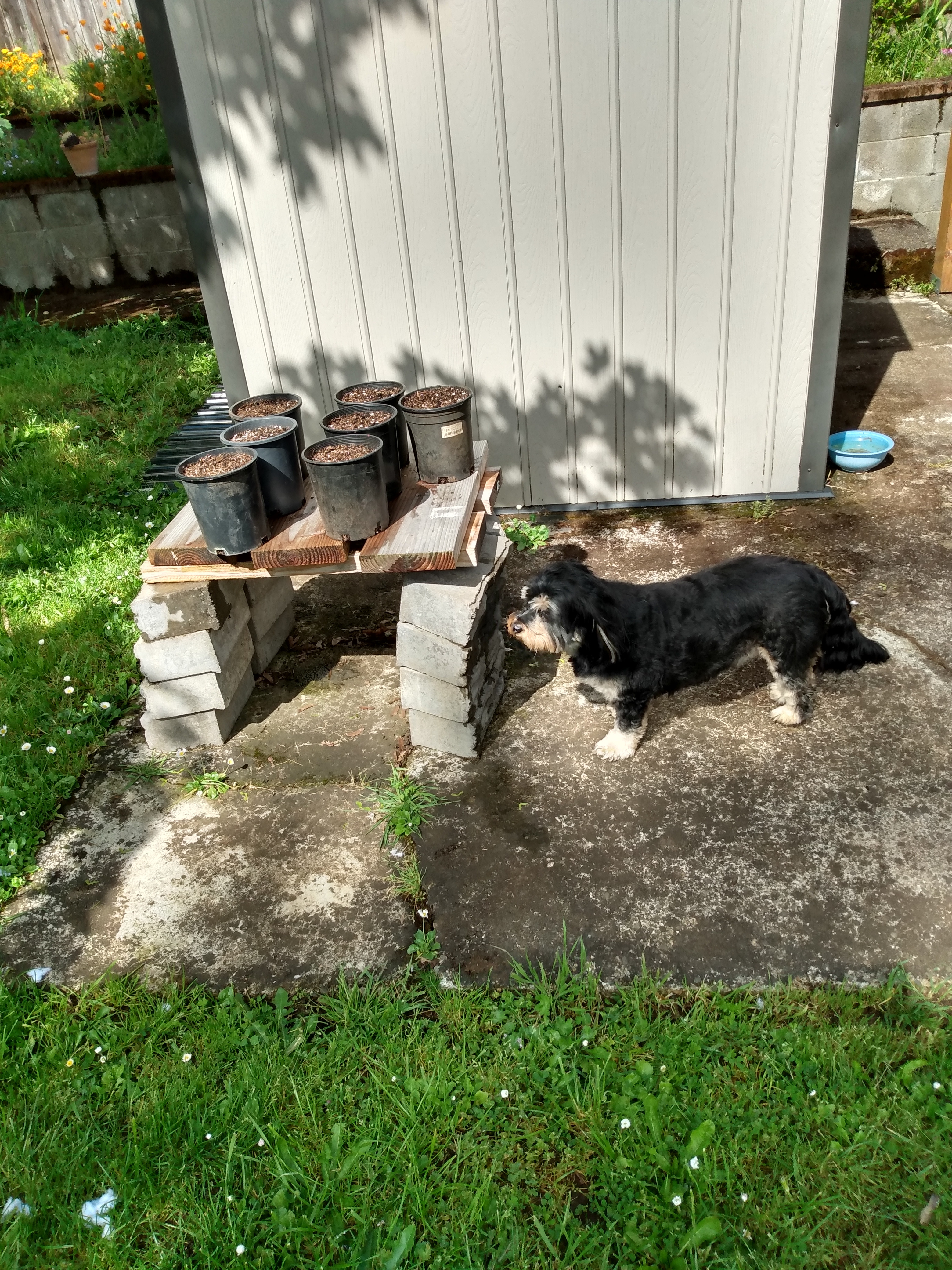 IMG_20240508_103429494_HDR (3).jpg