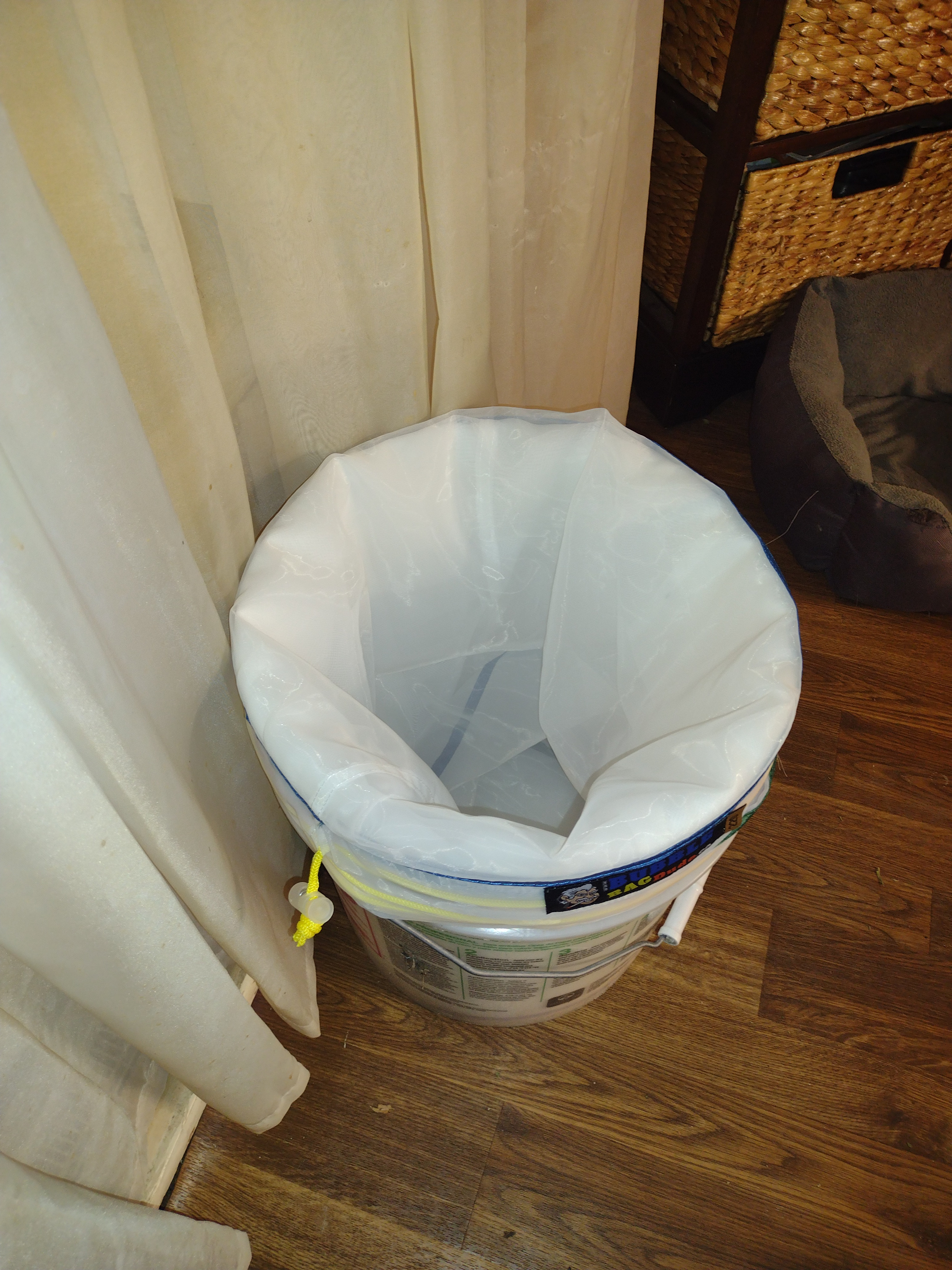 IMG_20241017_172231819.jpg