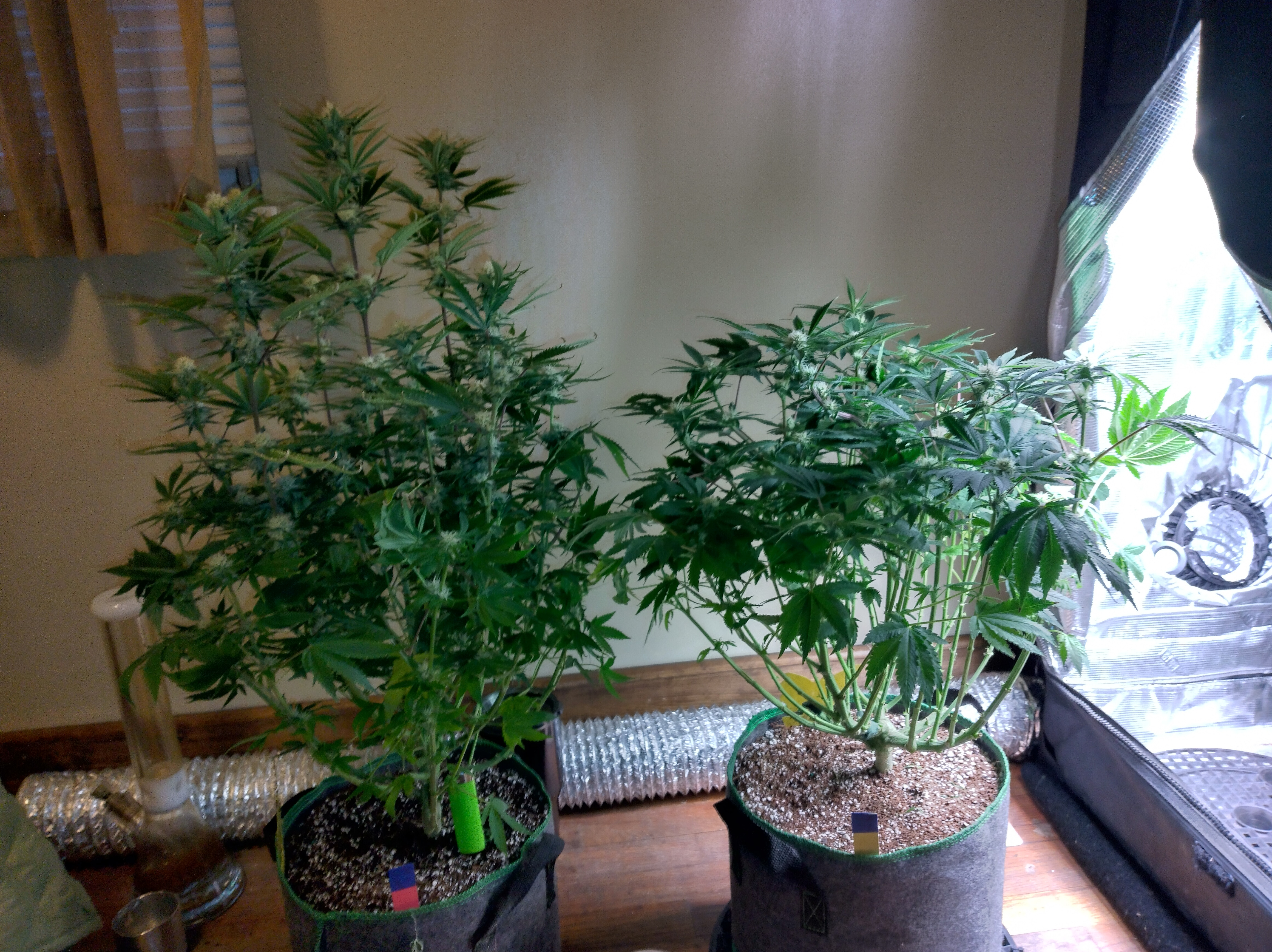 IMG_20241209_095705_HDR[1].jpg