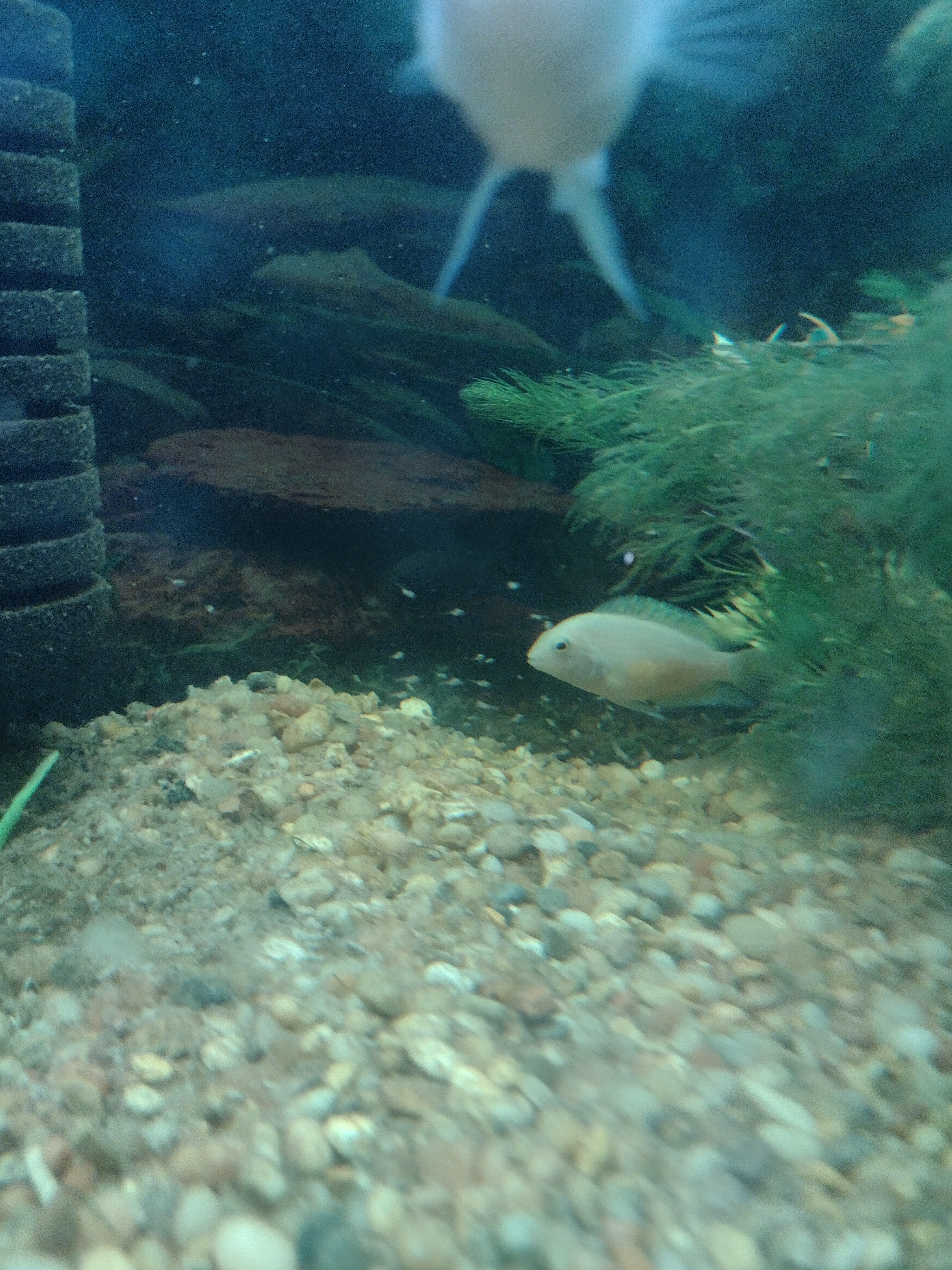 IMG_20250123_201133424.jpg