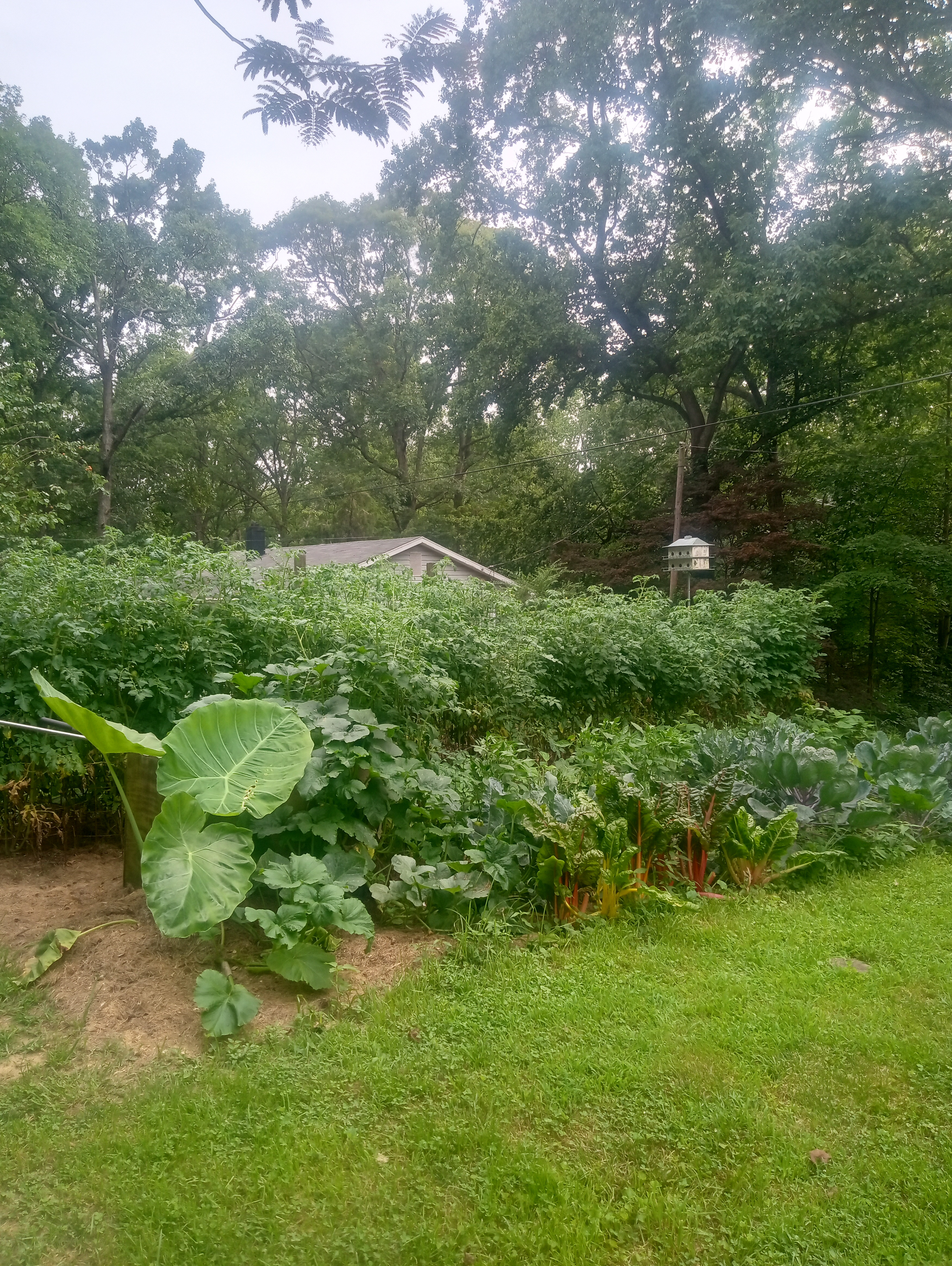 IMG_20250622_163855508_HDR.jpg