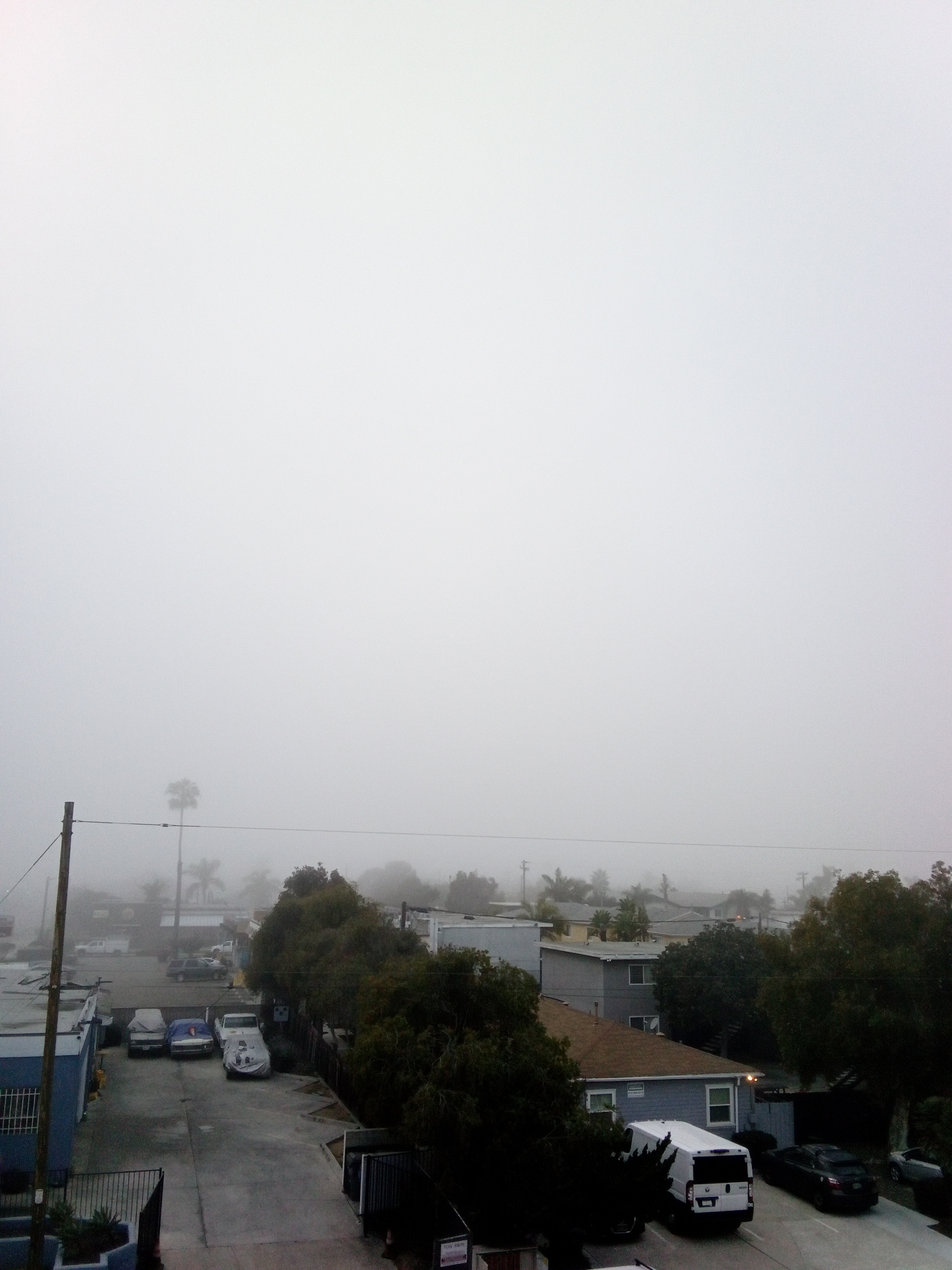 IMG_20251219_160733_383.jpg